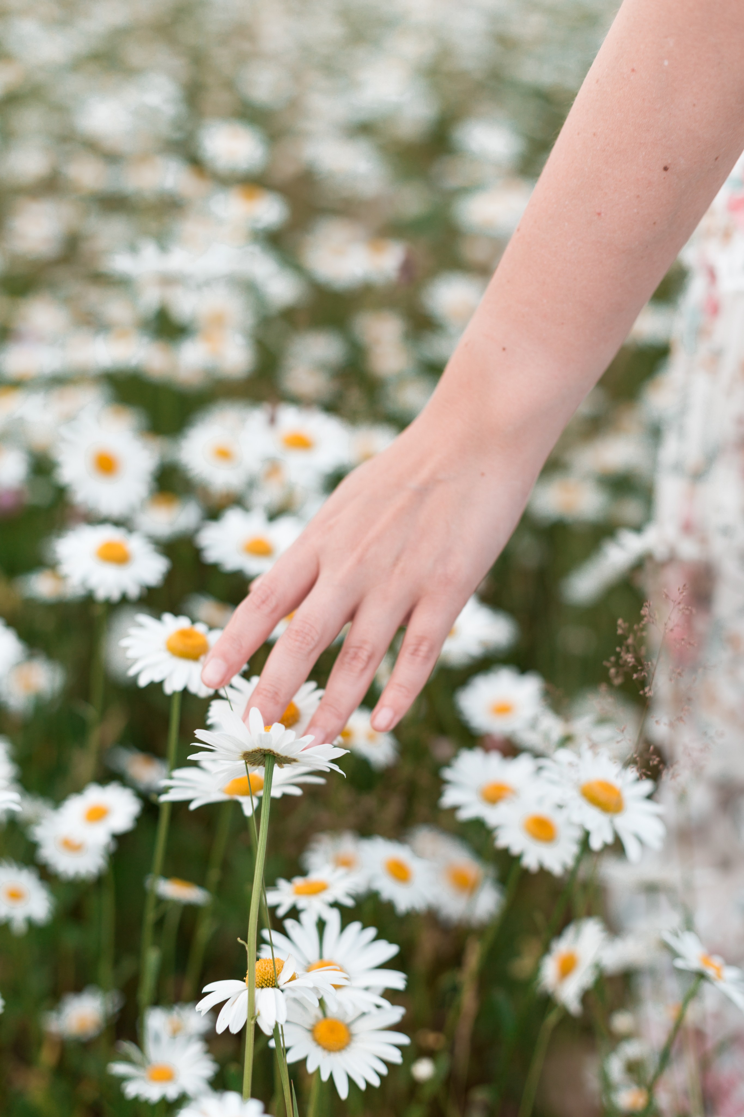 Красивые локации Перми. Семейный и детский фотограф в Перми Ксения Масленникова