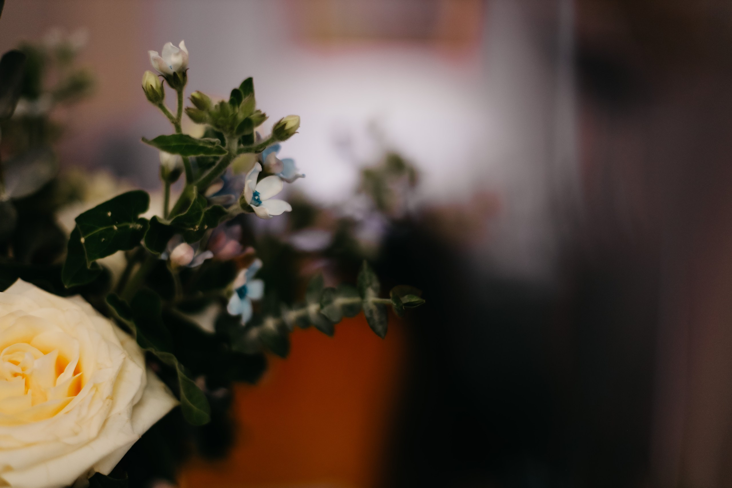 Хочу голубое платье. Свадебный фотограф Александра Тюлякова