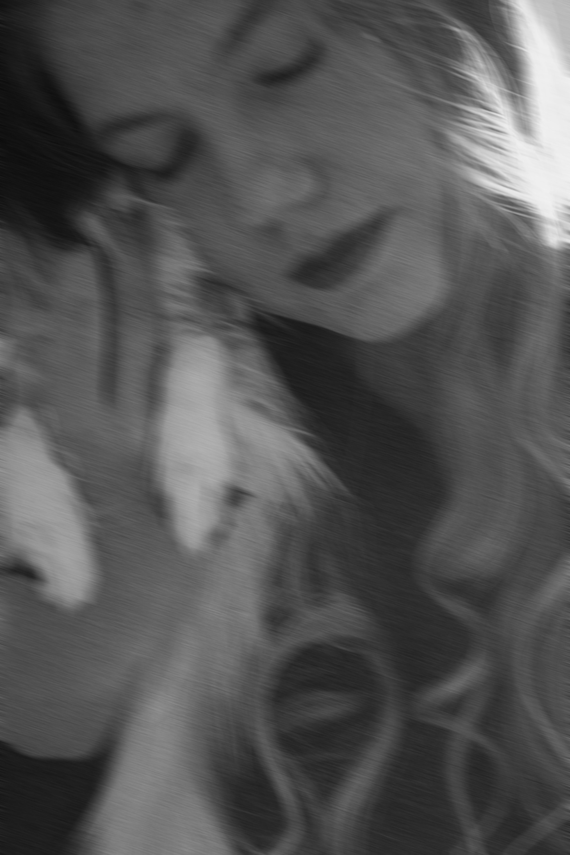 Альбина и Амелия. Фотограф анималист в Москве и Санкт-Петербурге Свиридова Анна