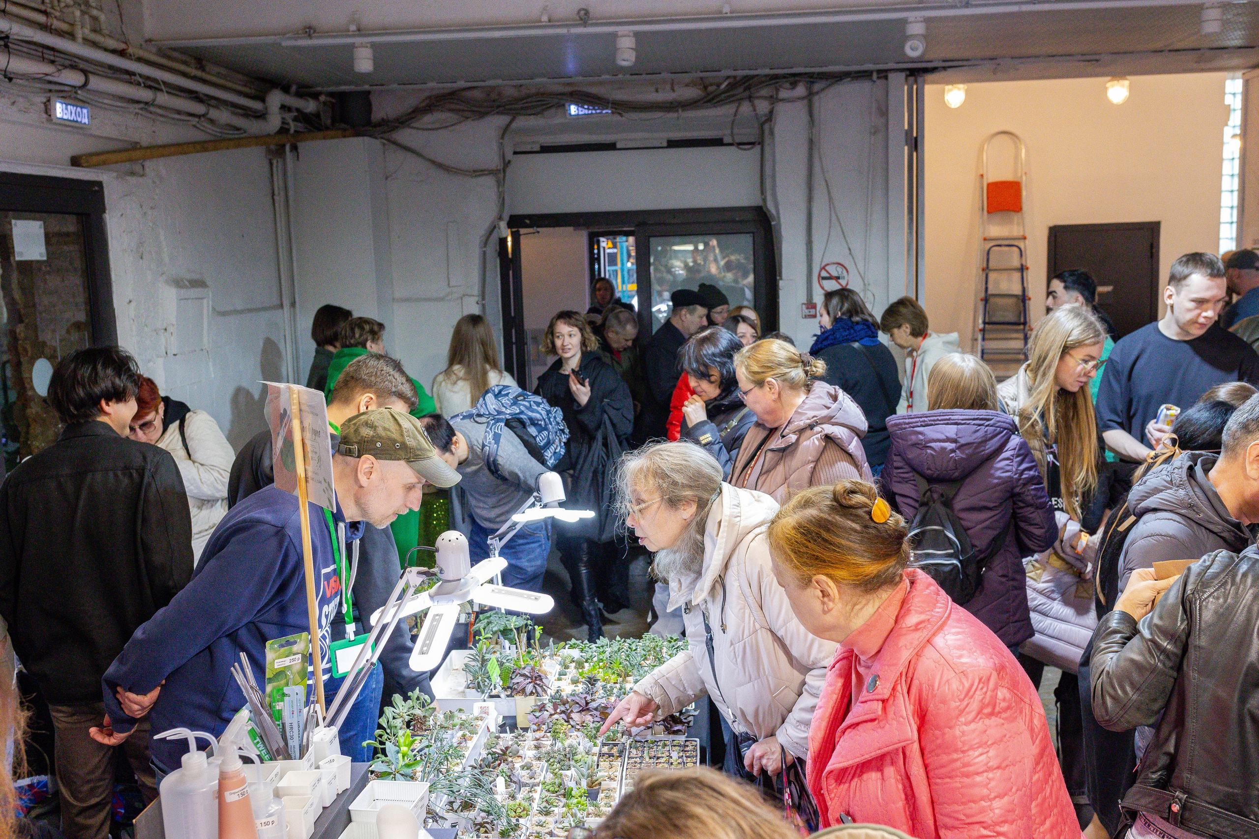 Кактус Фест. Александра Куликова фотограф, Москва