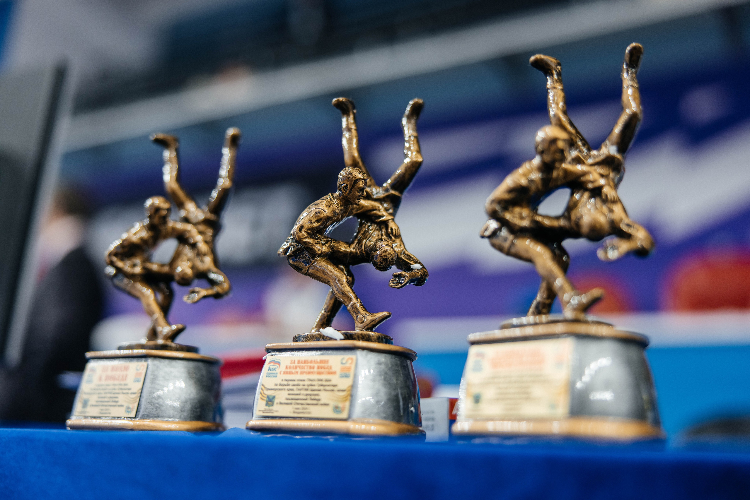 Sambo Championship. Maxim Tsoy Photography