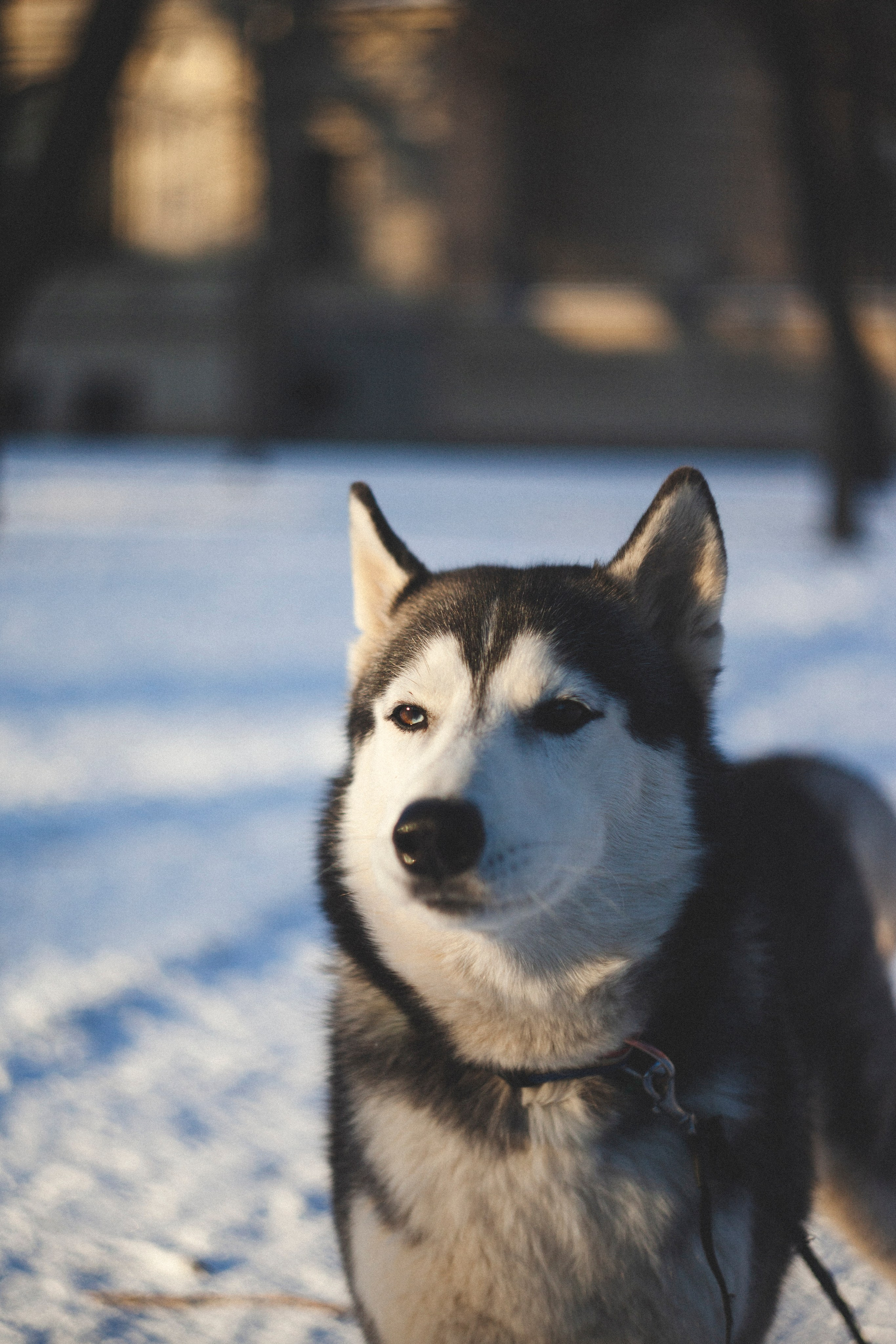 В Алексеевском саду. Фотограф Адигамова Юлия в Петербурге