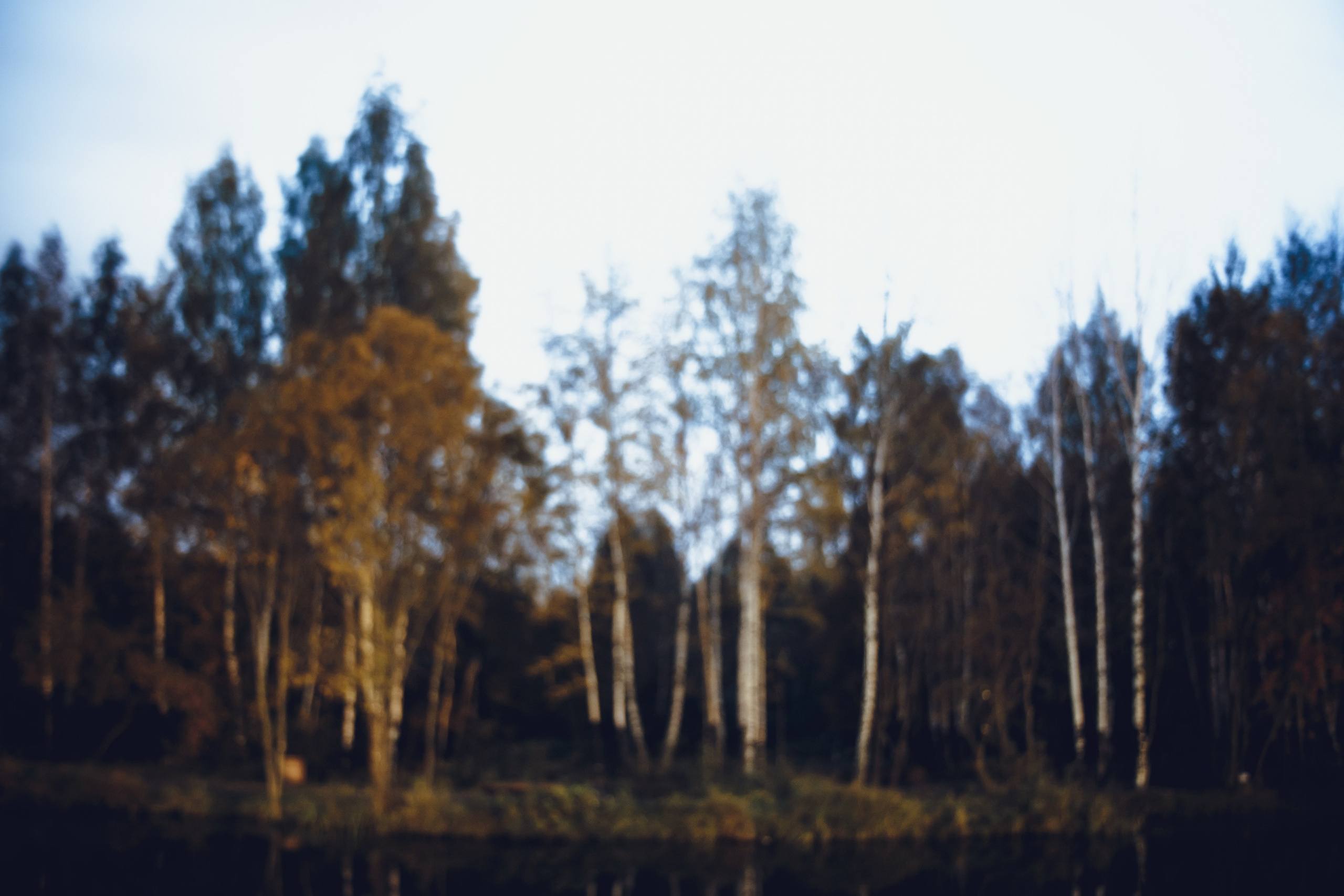 Виды Перми и окрестностей. Фотограф Никита Попов. Фотограф Пермь. Фотосессия в фотостудии Перми и на свежем воздухе