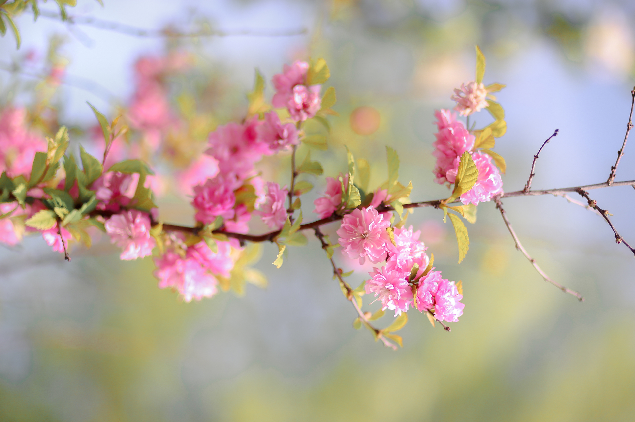 Контакты. Главная