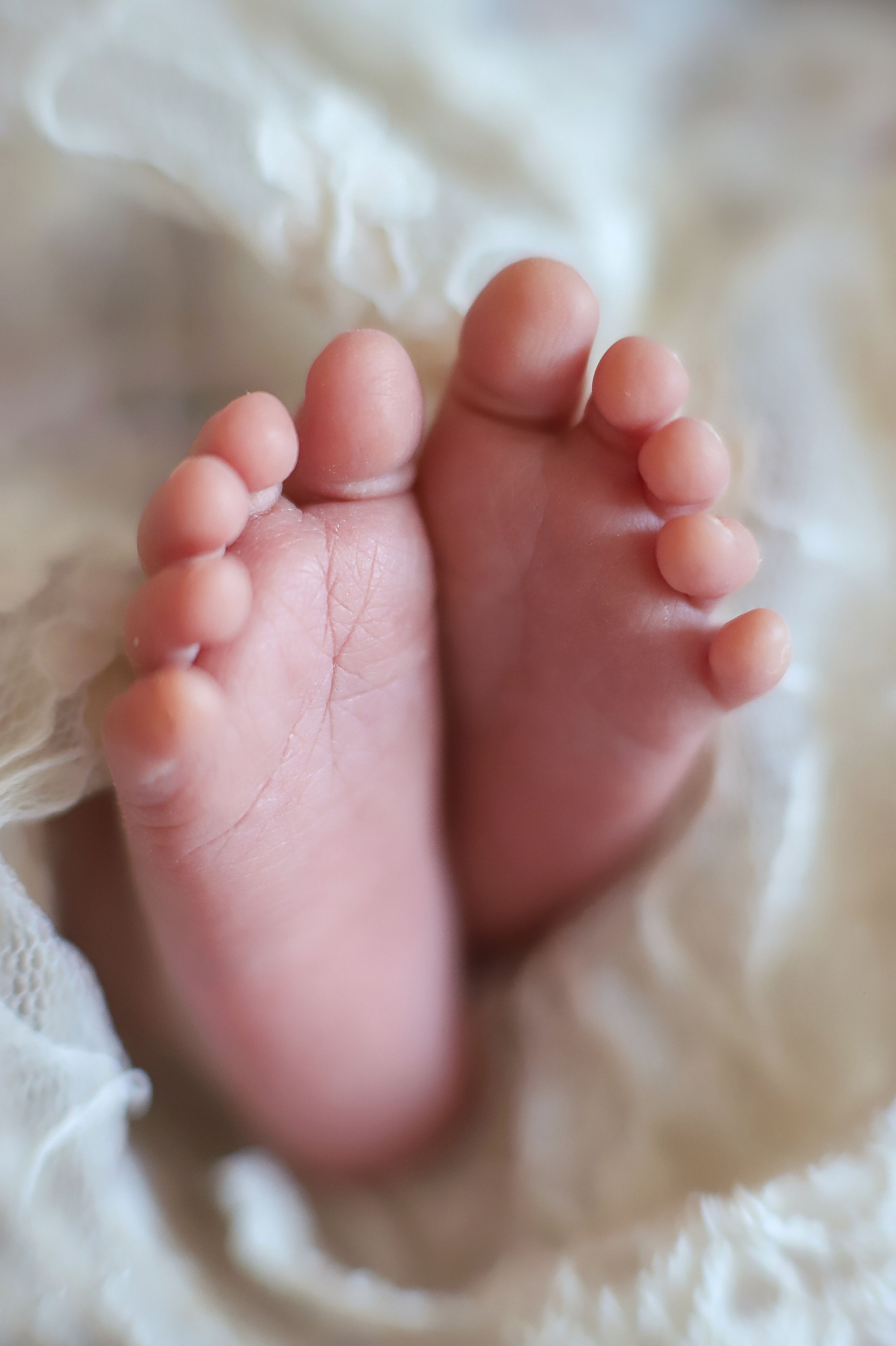 Ньюборн. Главная