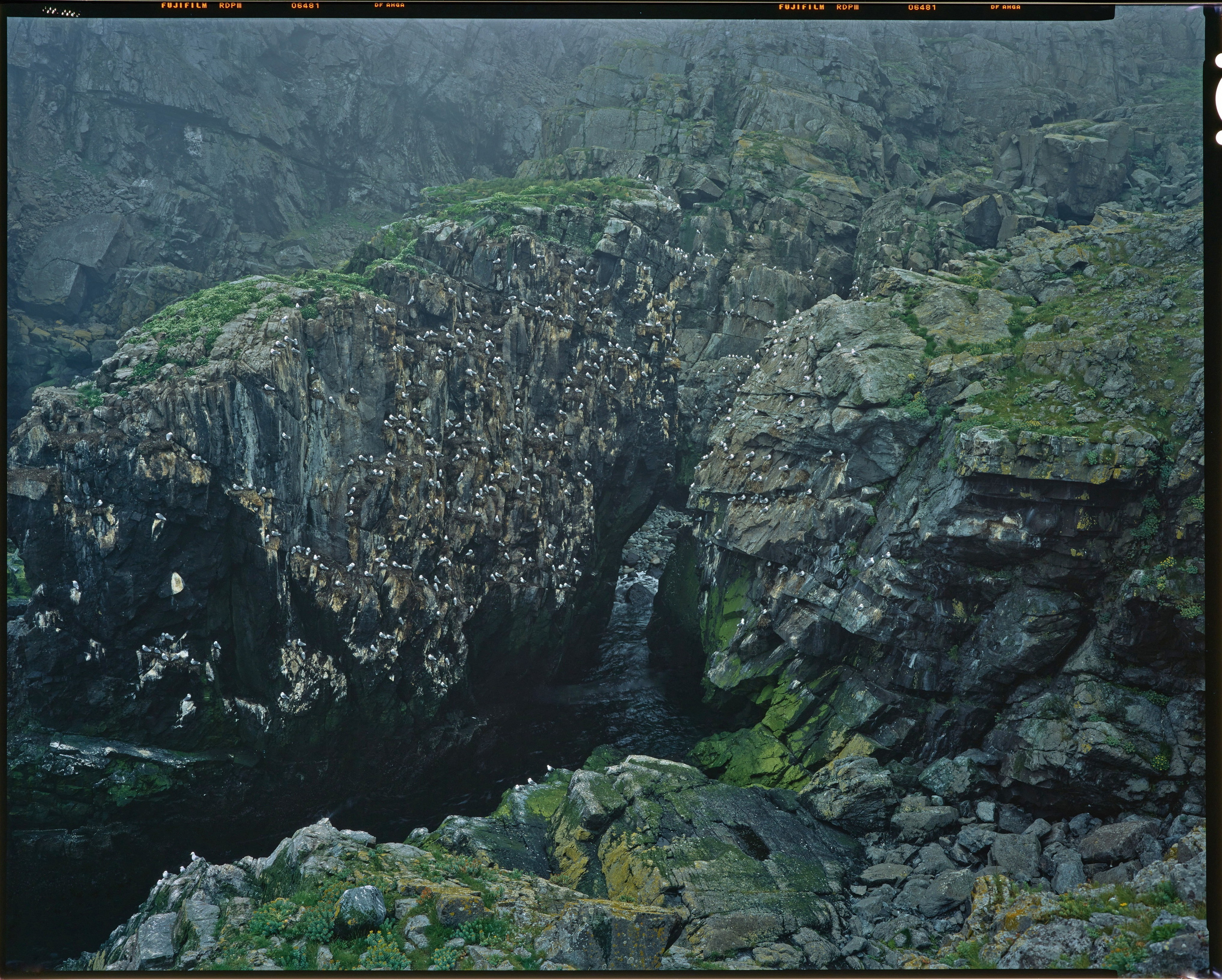 Полевая фотосъёмка форматными камерами. Multica. Мастерская камер большого формата
