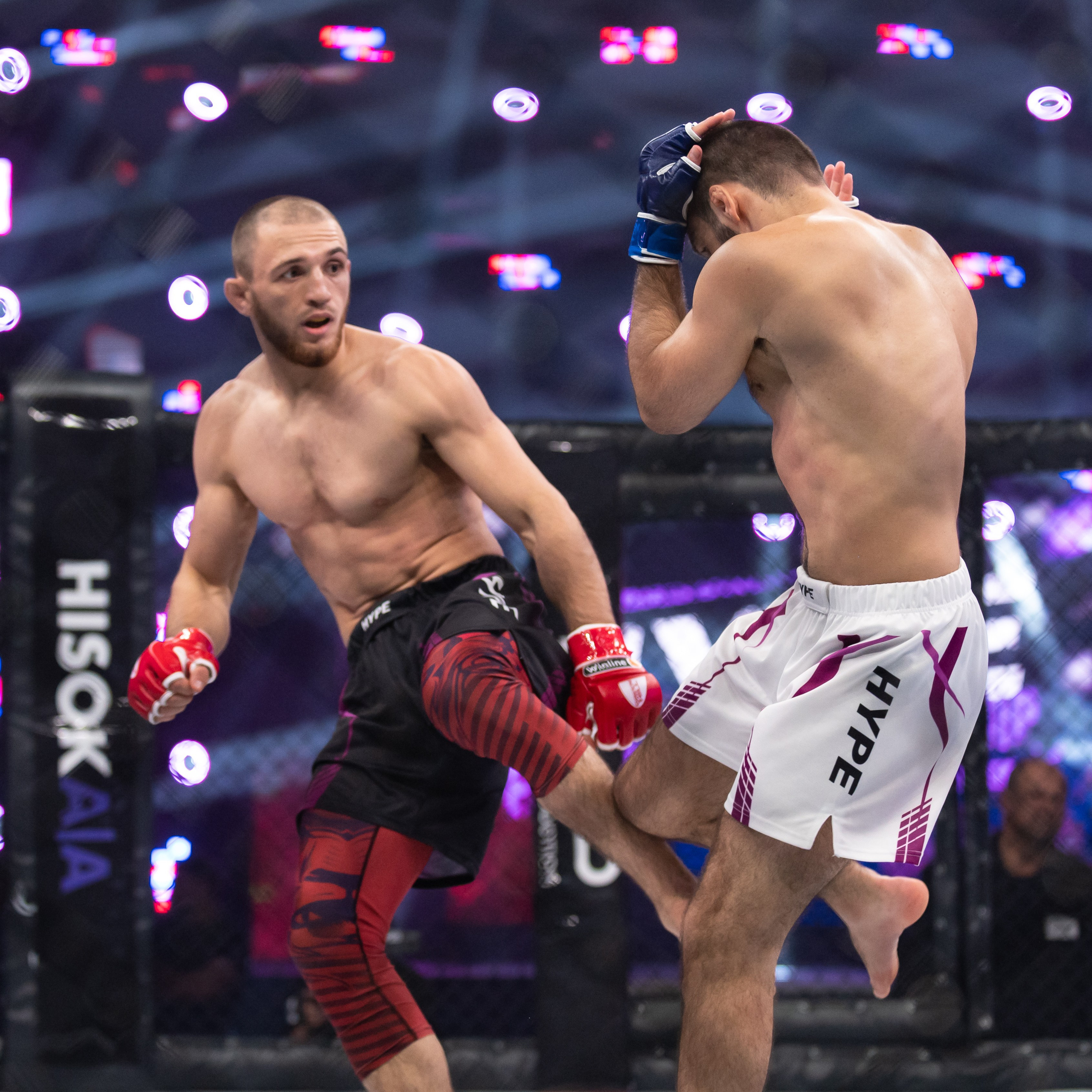 Бои. Репортажный фотограф в Красной Поляне и Сочи Павлюченко Екатерина