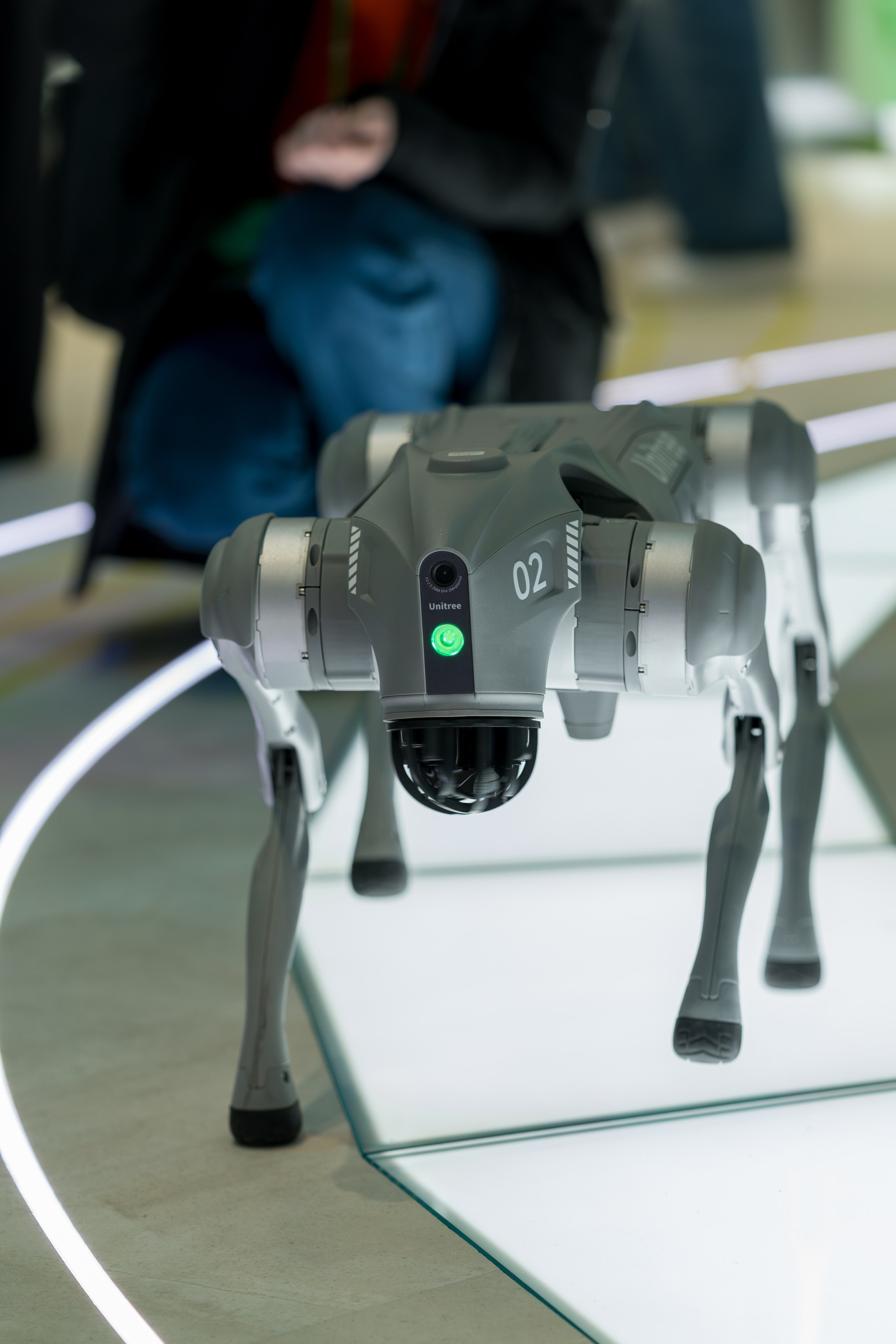 Фотоотчет для партнерской интеграции Сбербанк на ВМФ в Сириус 2024. Репортажный фотограф в Красной Поляне и Сочи Павлюченко Екатерина