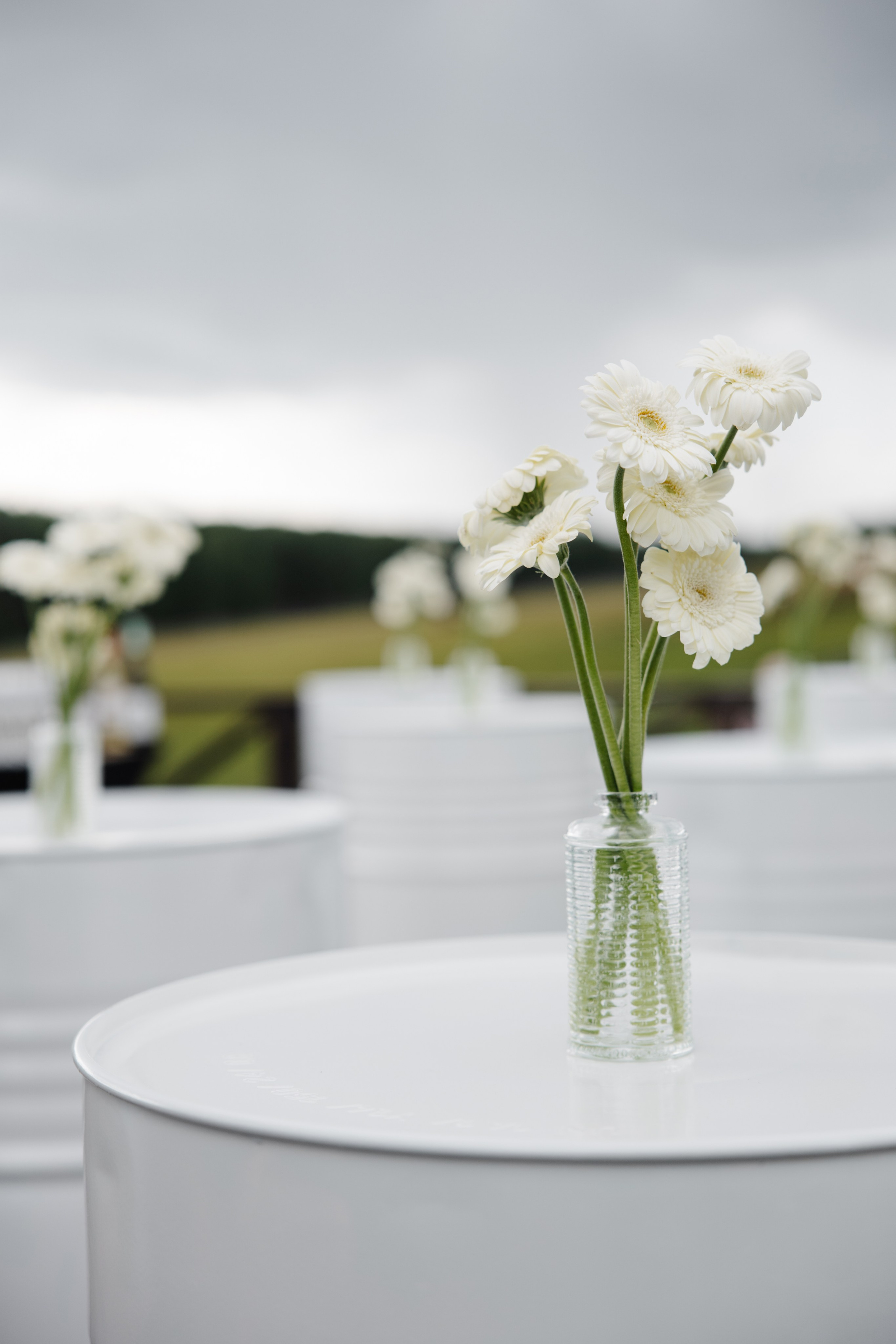 ГЕНДЕР ПАТИ. Фотограф в Красноярске