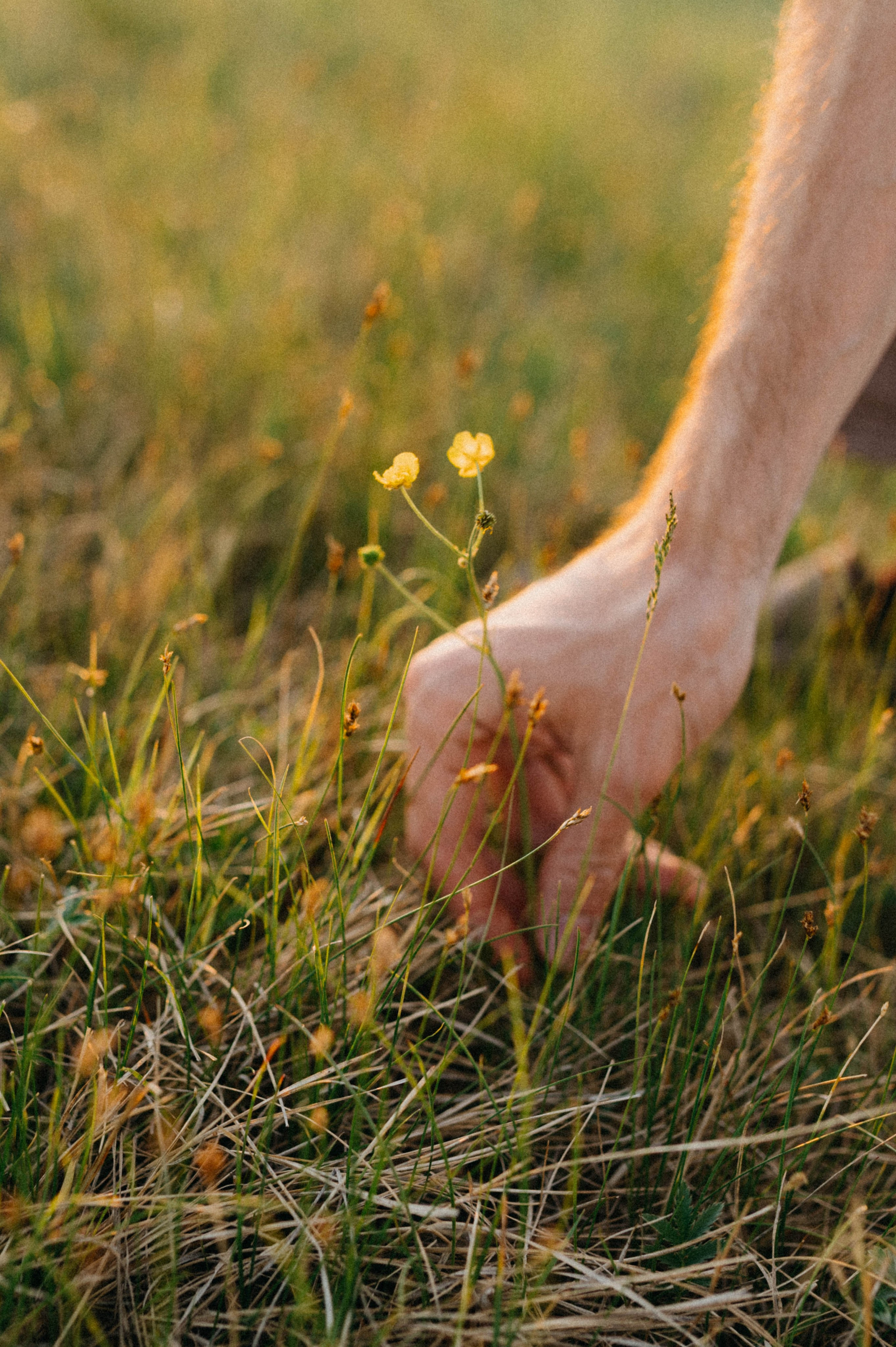 Егор и Надя. Свадебный и семейный фотограф в Чите Юлия Оранская