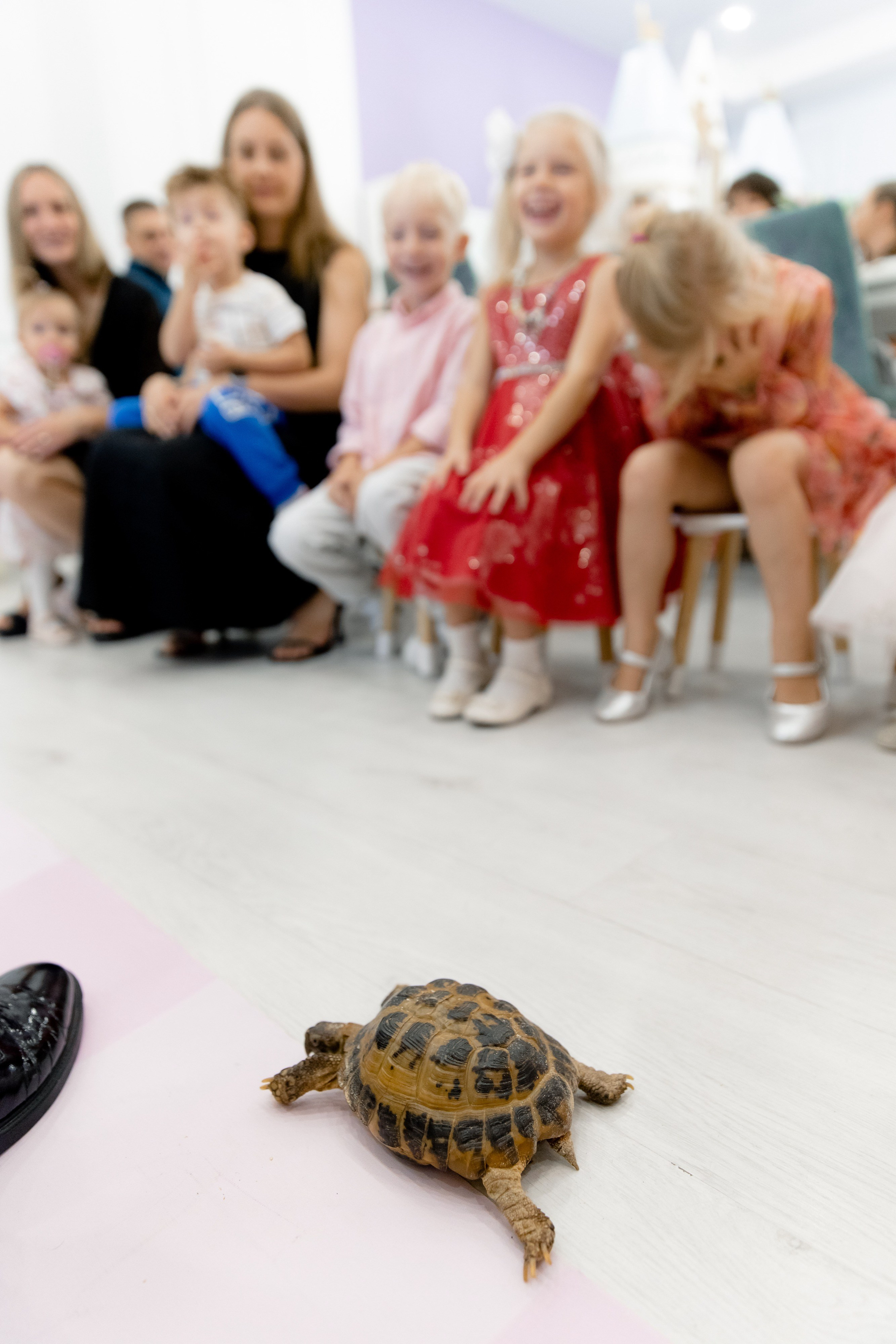 Стефания 2 года. Фотограф Роман Полянин