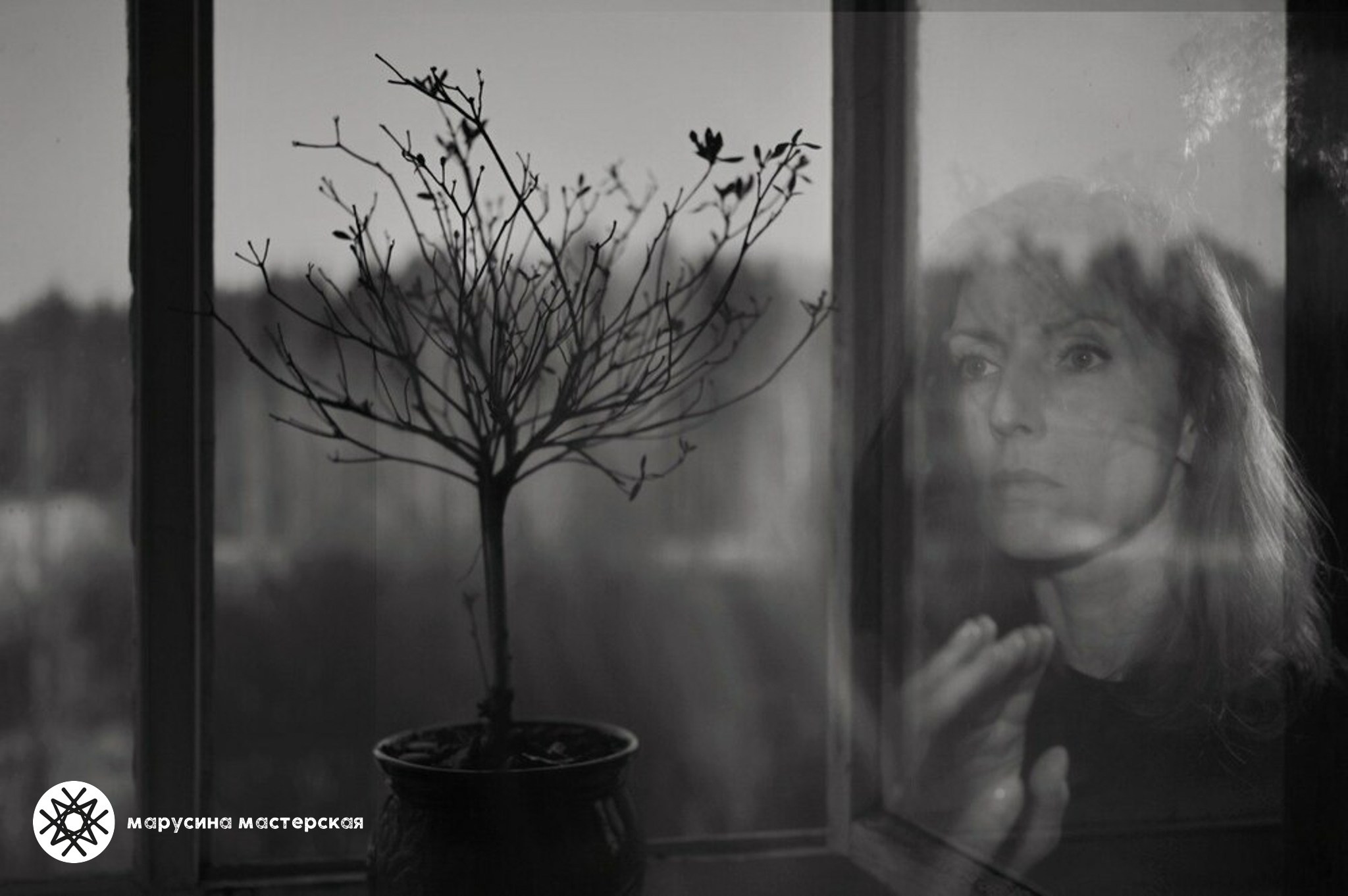 Алёна Лучинина