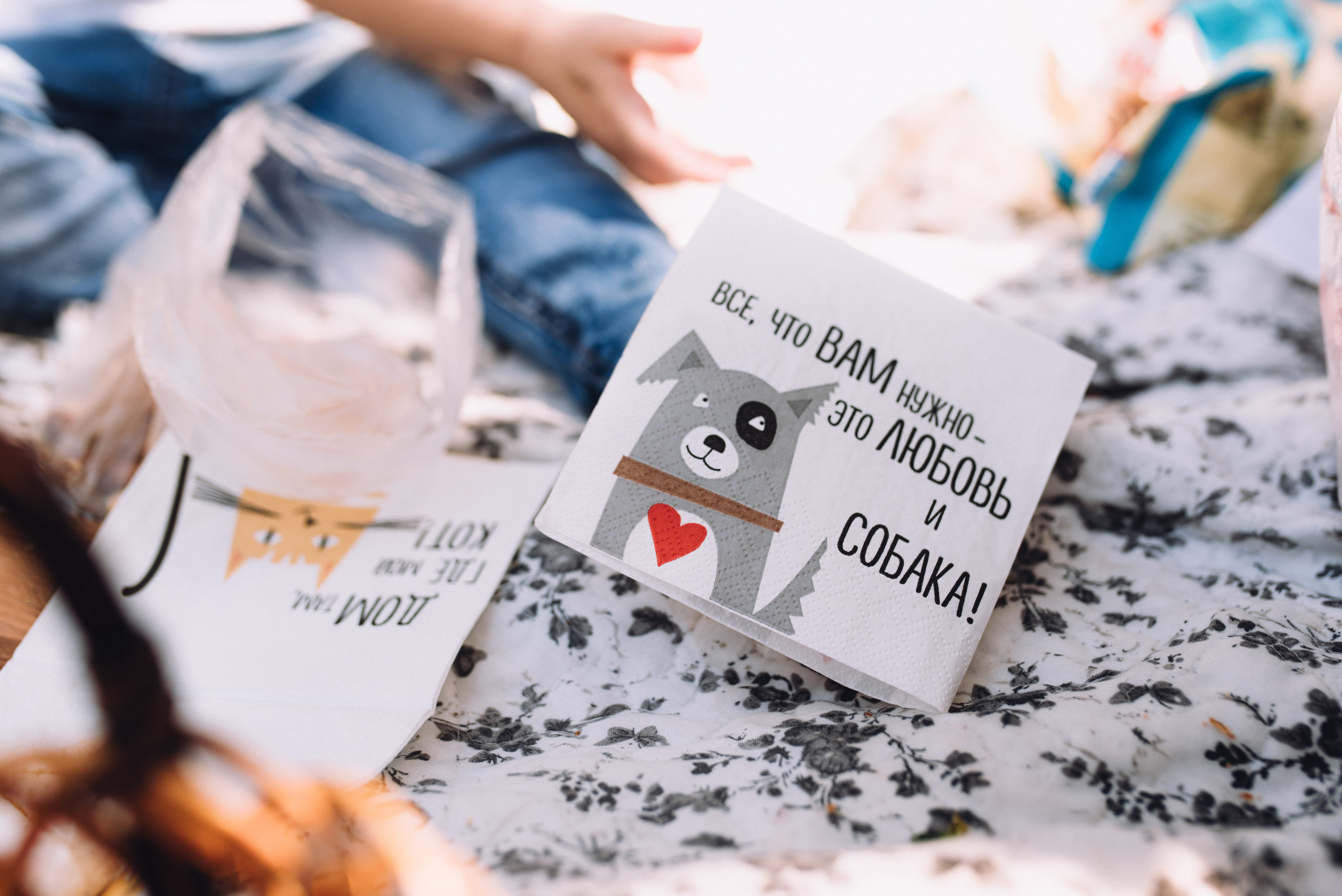 All you need is love and a dog. Wedding photograph in europe Vasencev Alexey