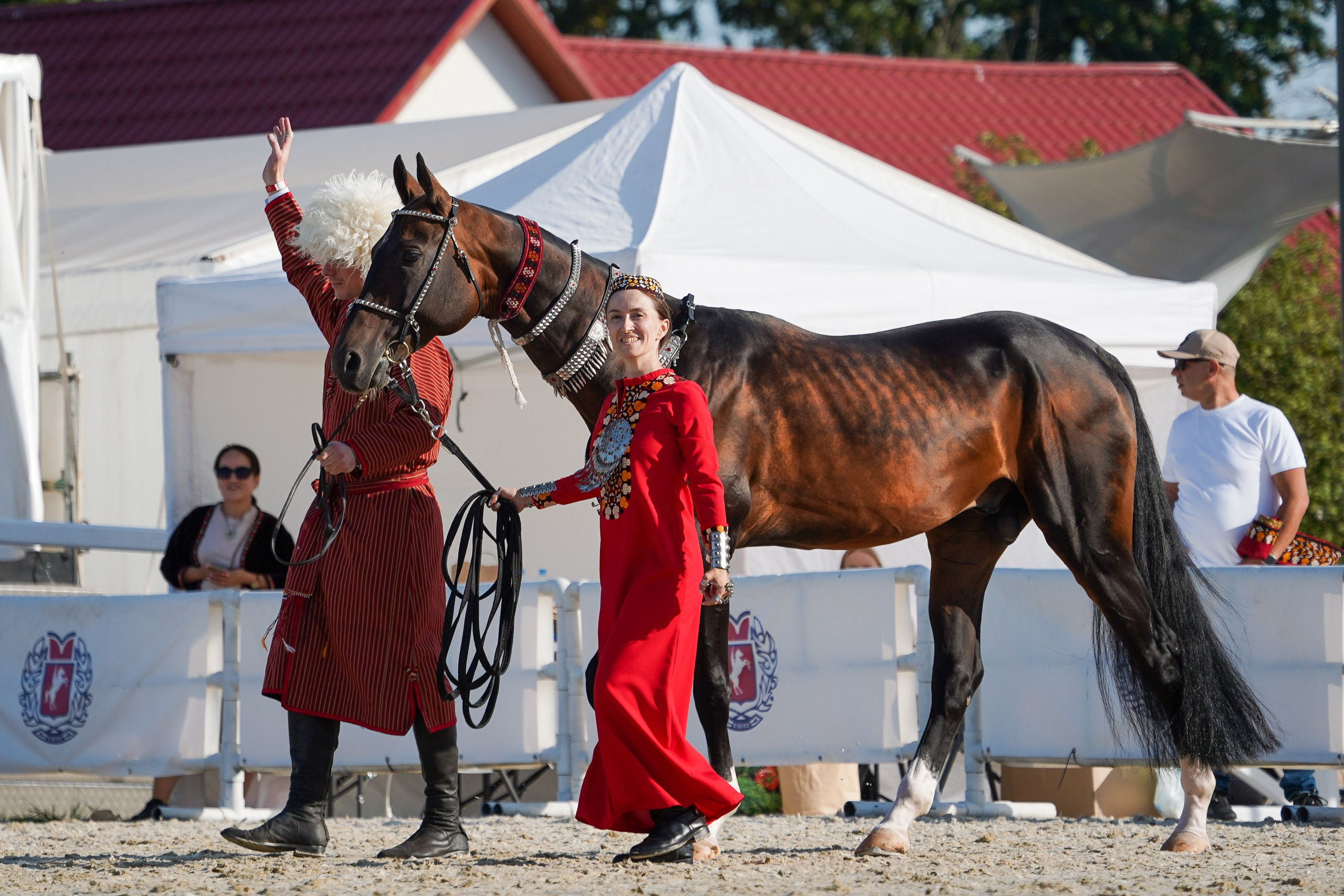 Чемпионат лошадей чистокровной ахалтекинской породы «КУБОК РОССИИ — 2024». Фотограф-анималист, портретный фотограф в Чебоксарах Мария Садыкова