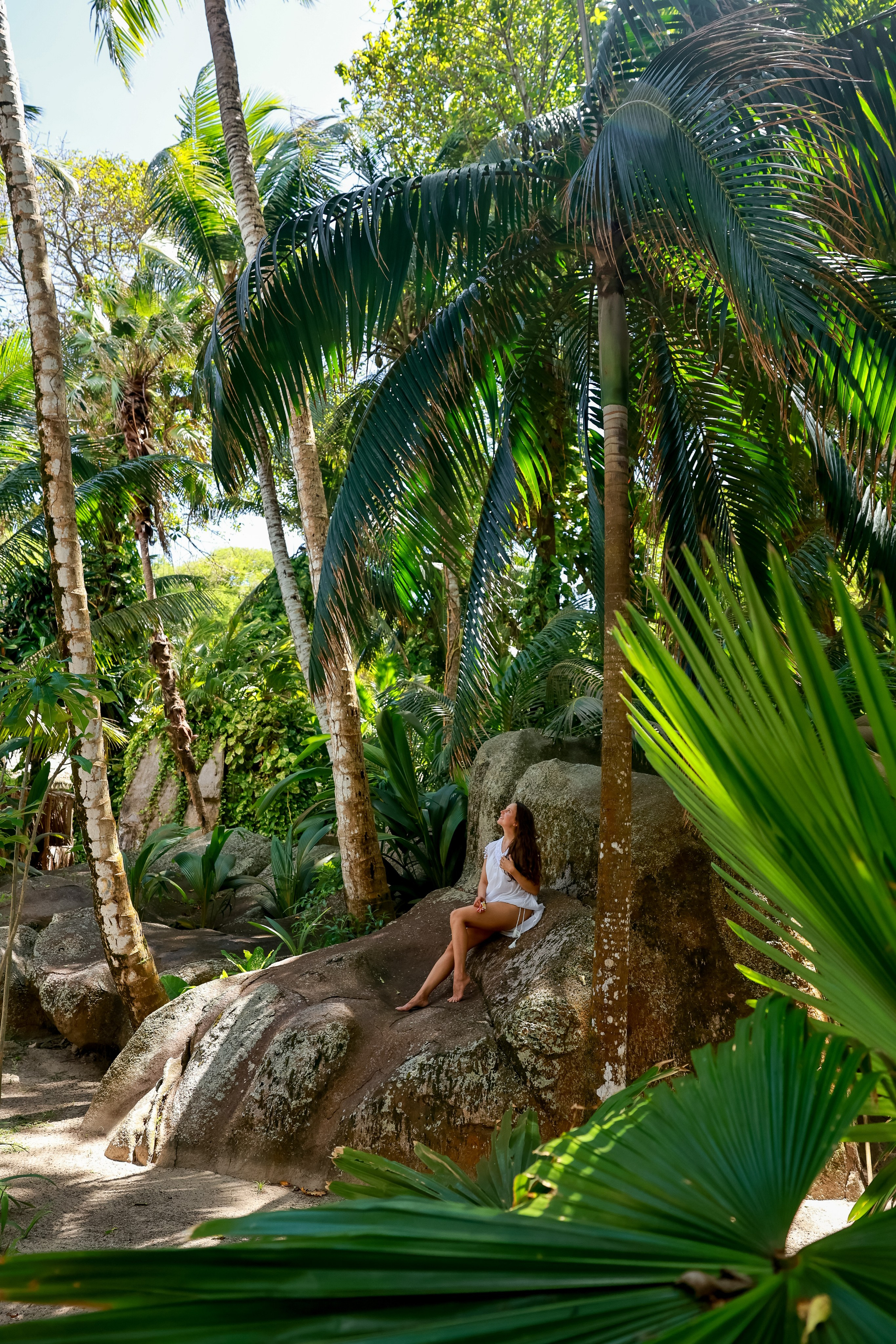 Сейшелы. Дарья Бухреева — фотограф, видеограф и фототерапевт. Москва и мир