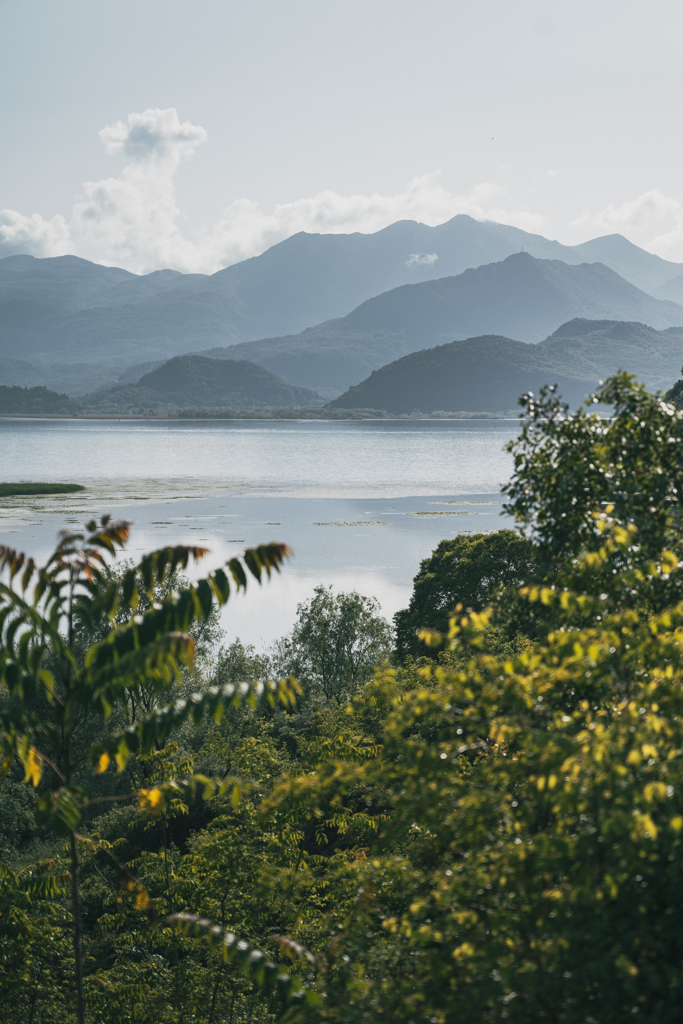 СКАДАРСКОЕ ОЗЕРО. ЧЕРНОГОРИЯ. Фотограф в Белграде Чугреева Елена