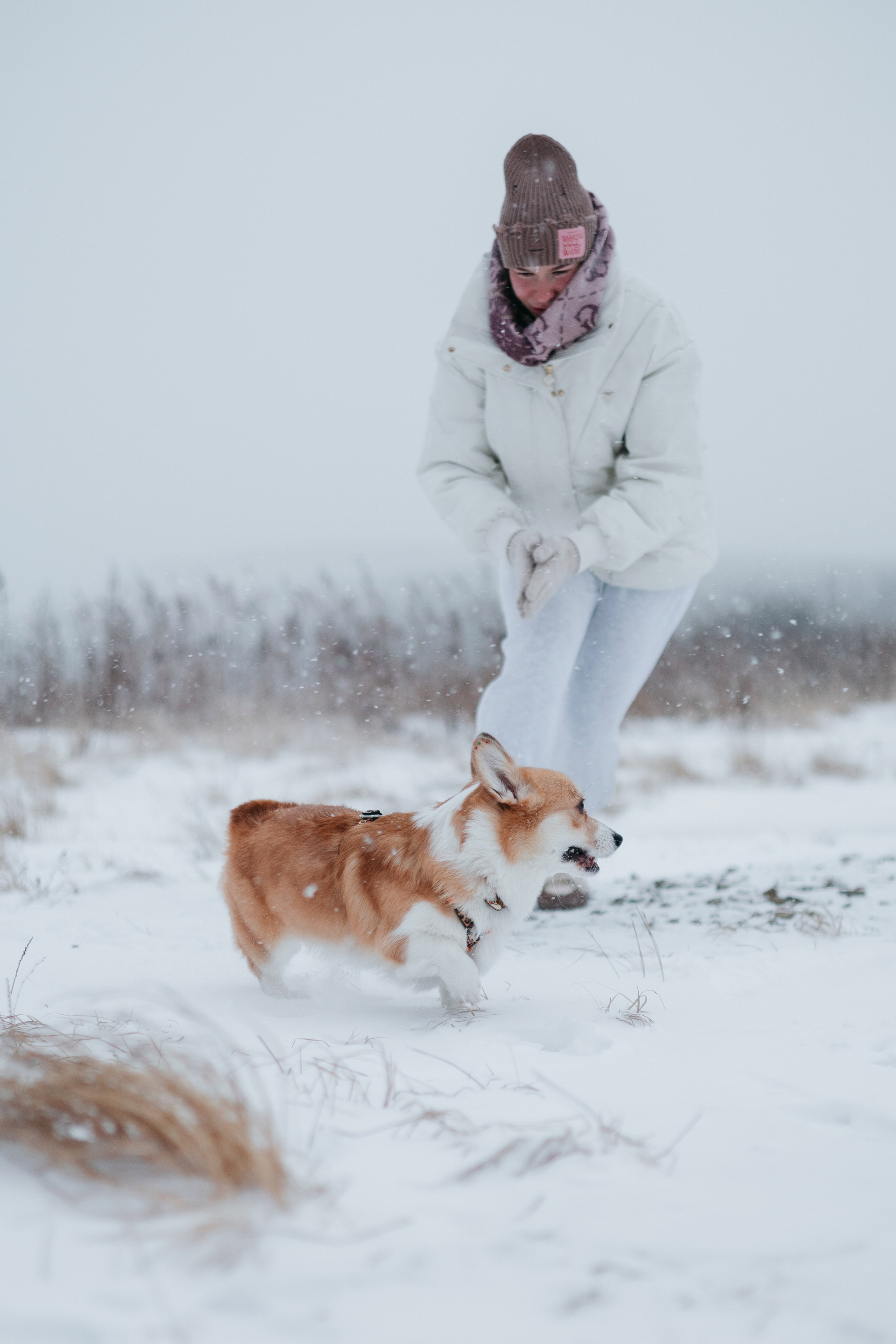 Лена, Лиза и Мия. Фотограф — анималист Владивосток, Алина
