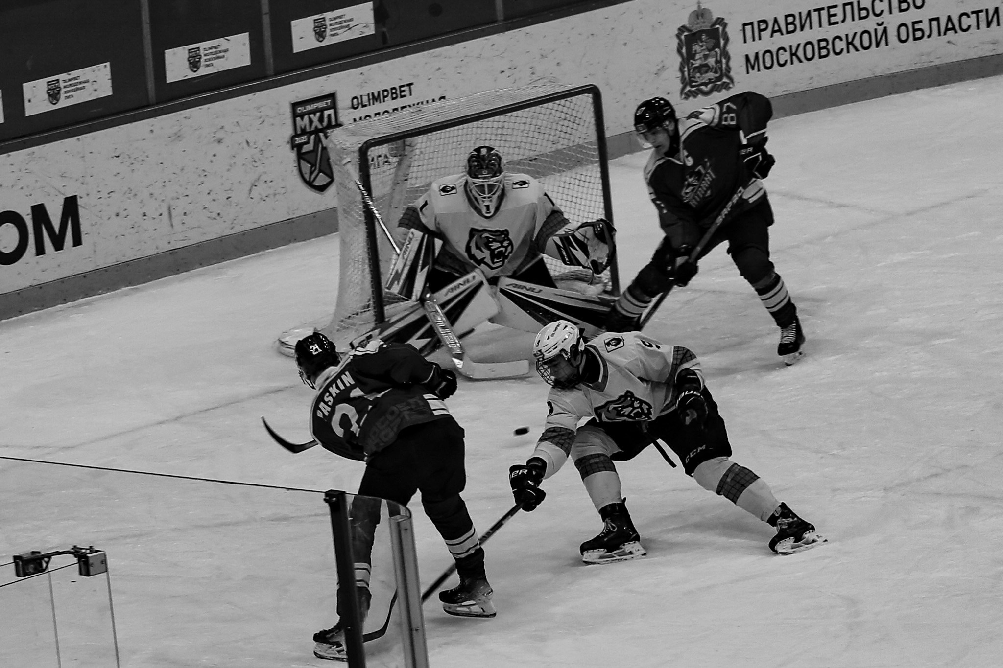 «Спорт через объектив: история в каждом снимке!»