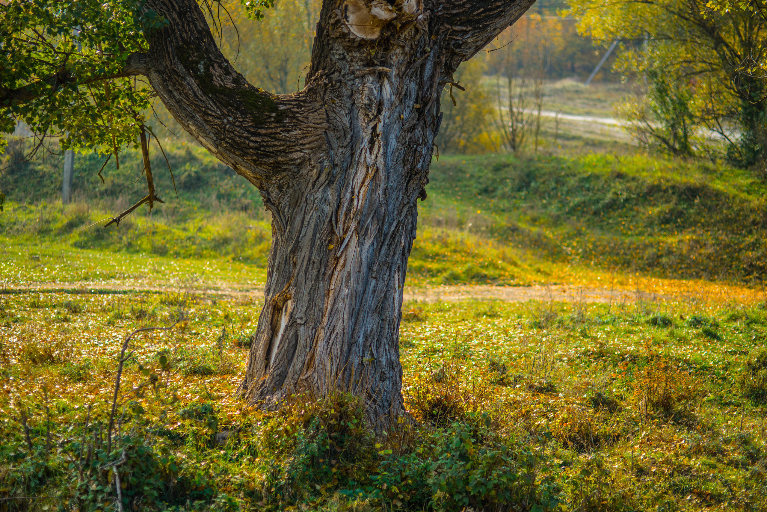 Природа. Фотограф в Санкт-Петербурге