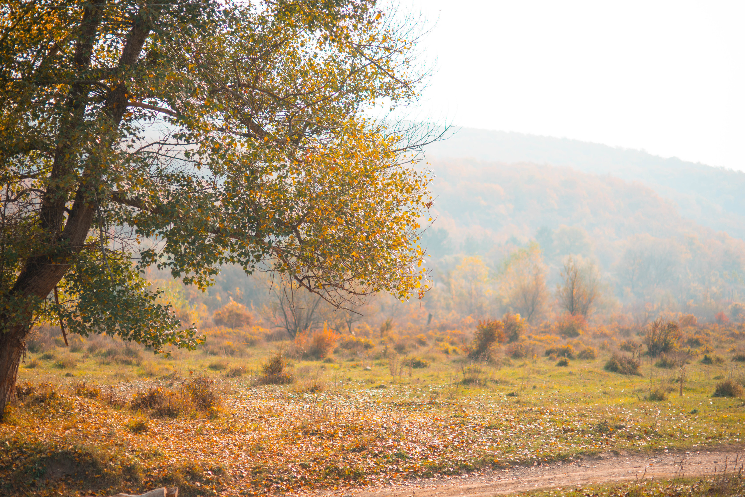 Природа. Фотограф в Санкт-Петербурге