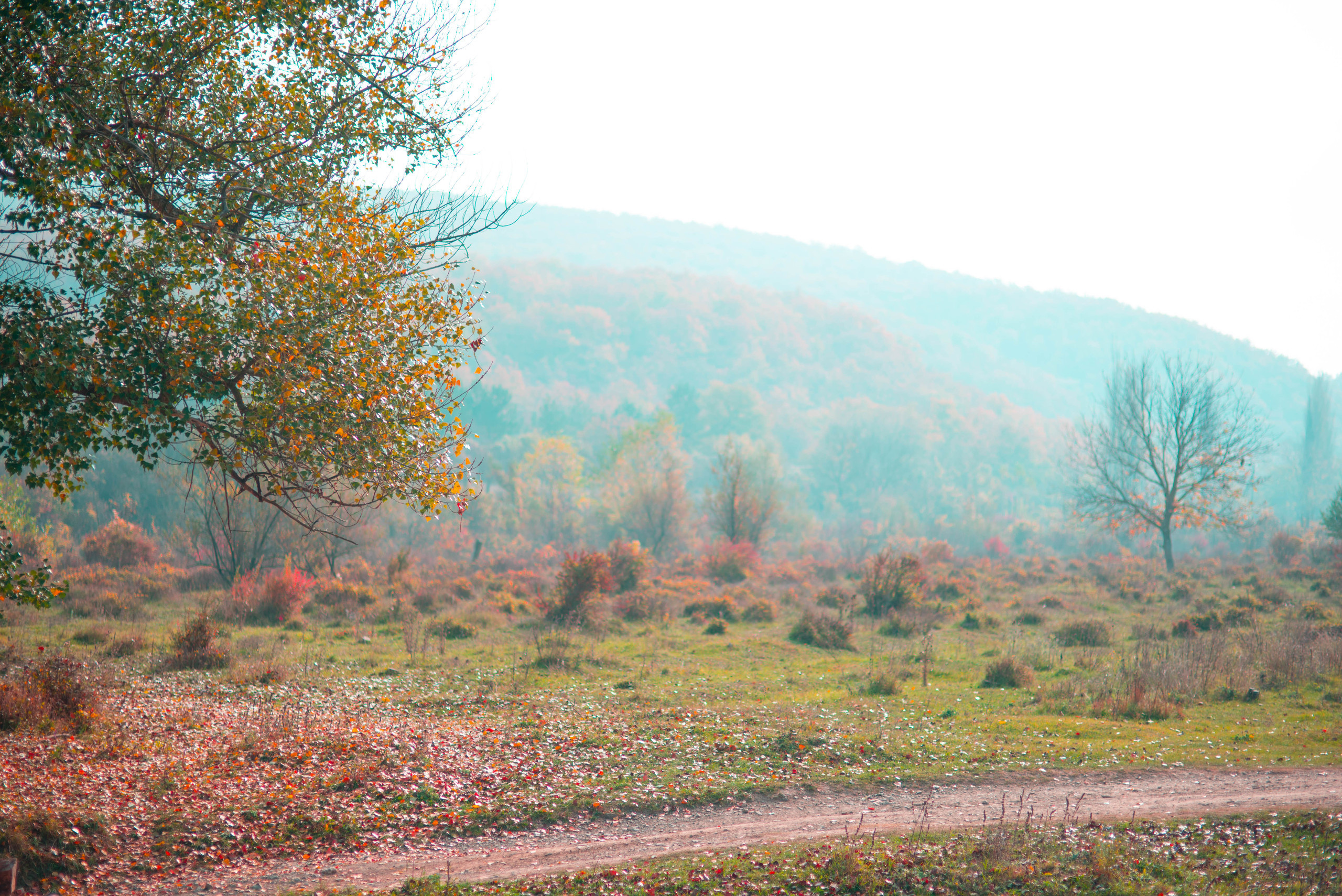 Природа. Фотограф в Санкт-Петербурге