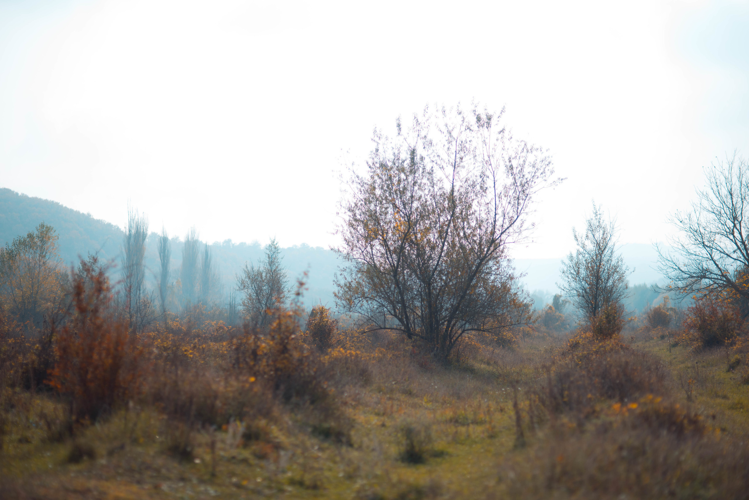Природа. Фотограф в Санкт-Петербурге
