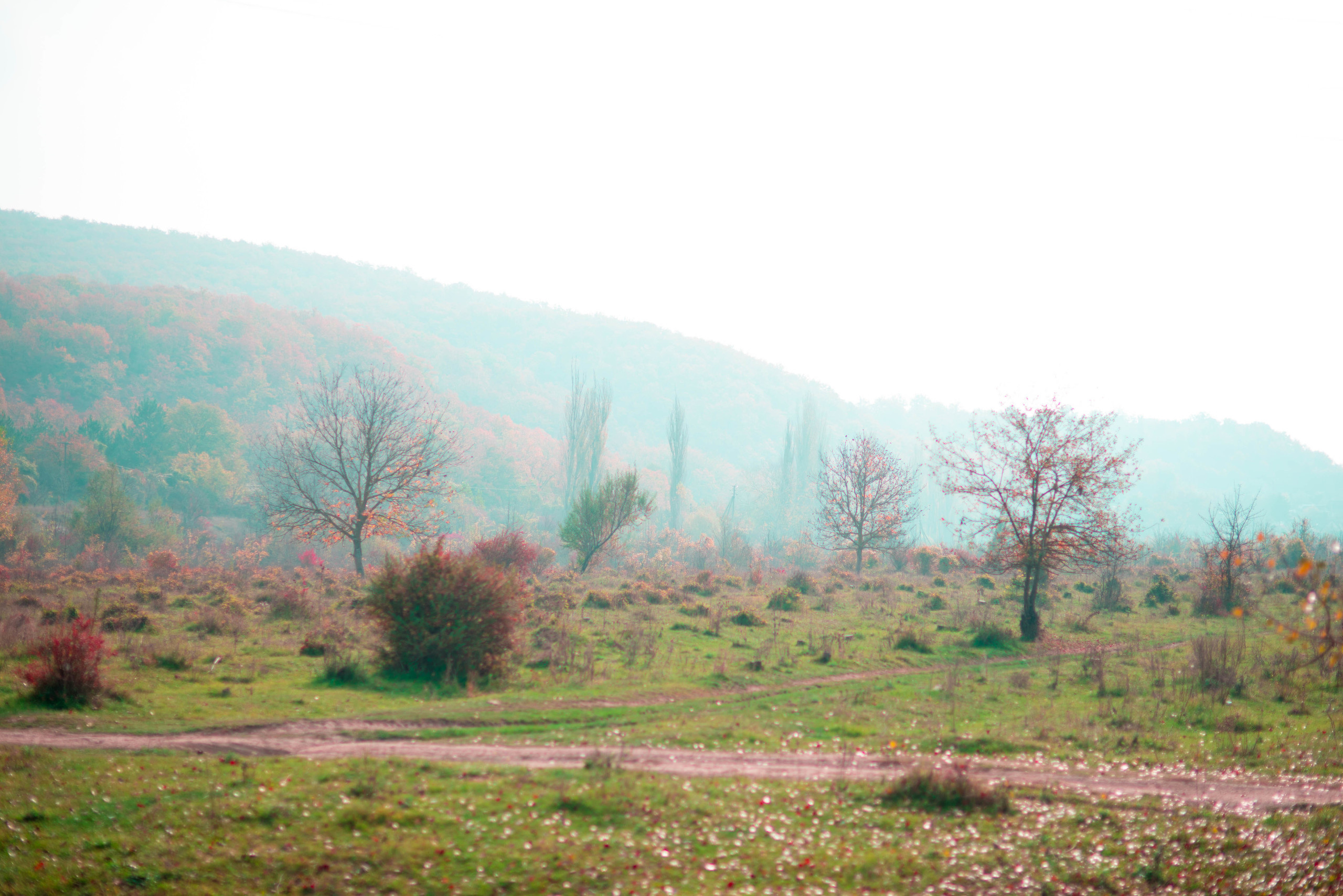 Природа. Фотограф в Санкт-Петербурге