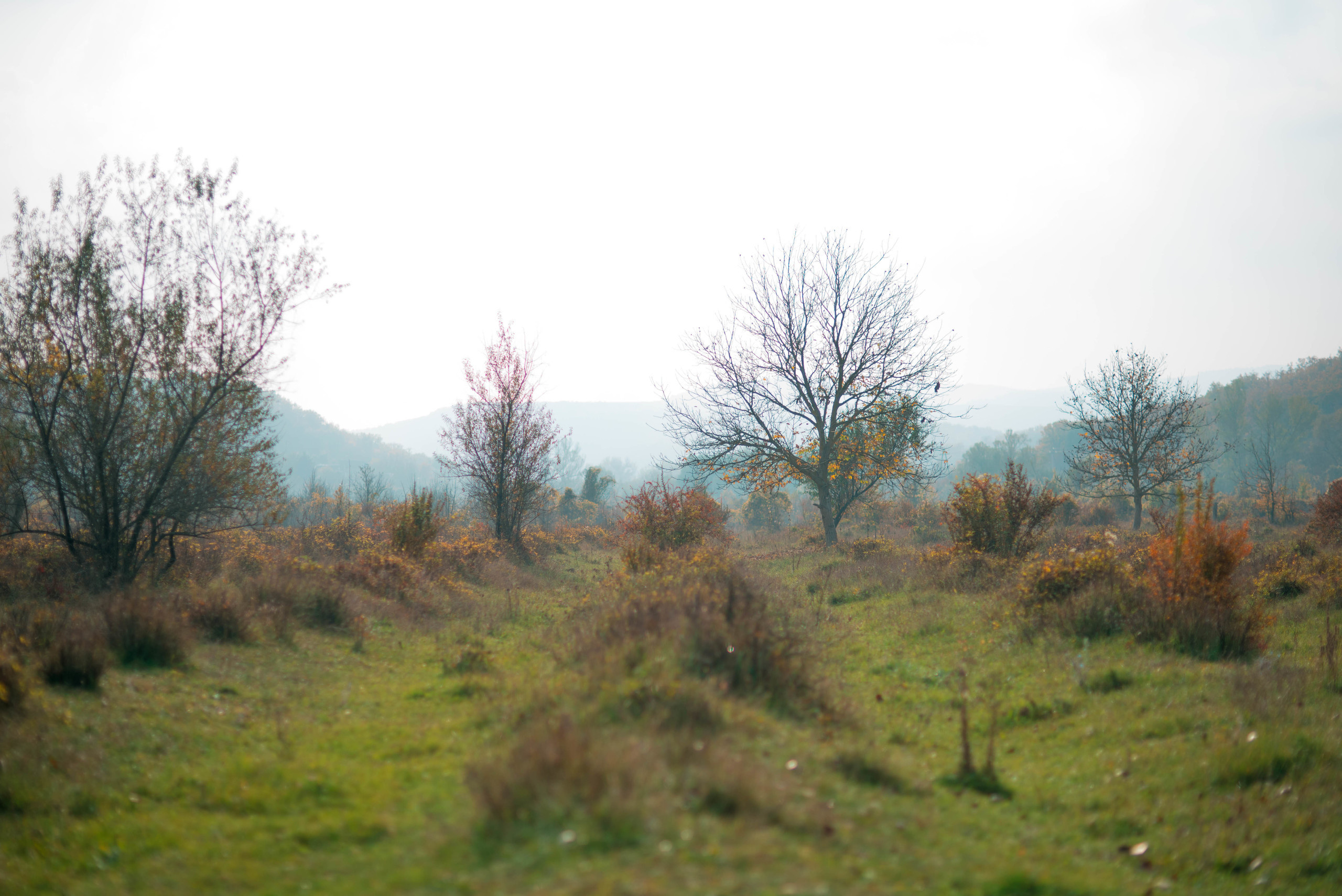 Природа. Фотограф в Санкт-Петербурге