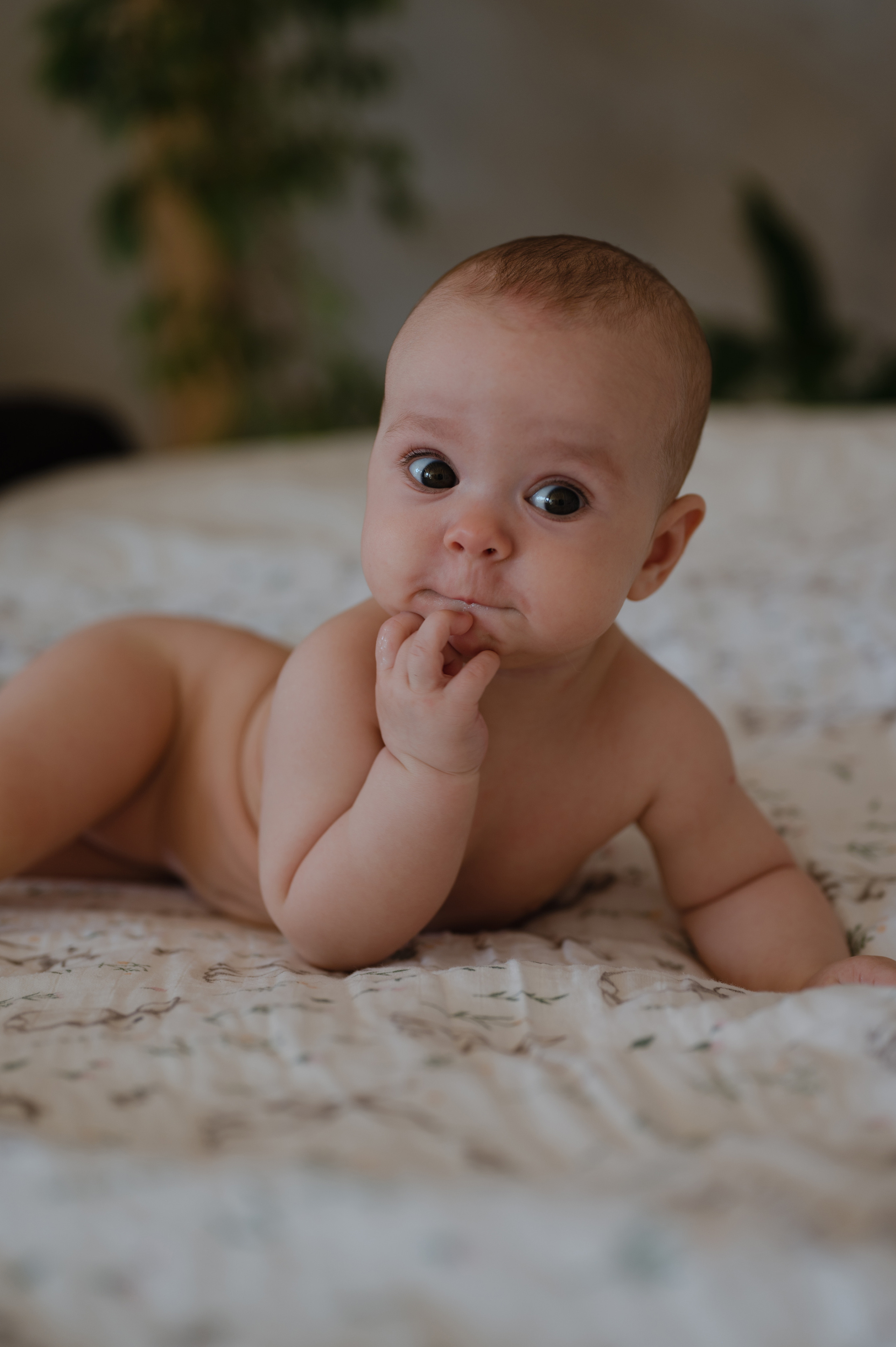 Станиславе полгодика, фотостудия MOON. Фотограф Красноярск Екатерина Карпеза