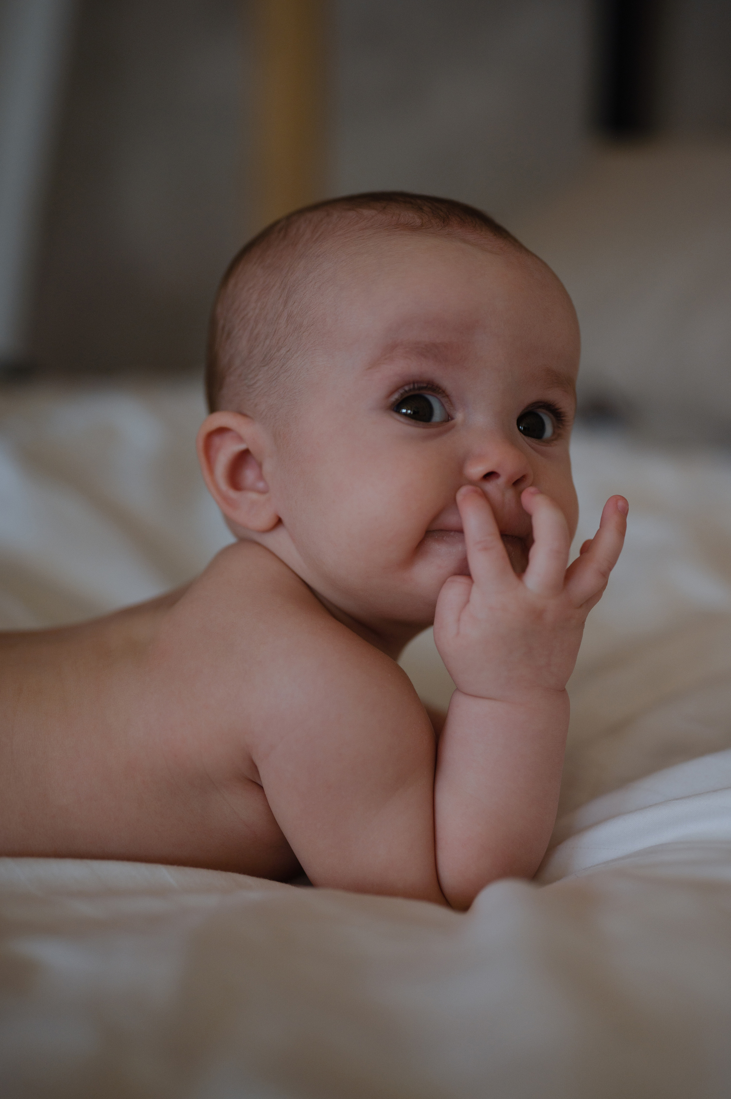 Станиславе полгодика, фотостудия MOON. Фотограф Красноярск Екатерина Карпеза