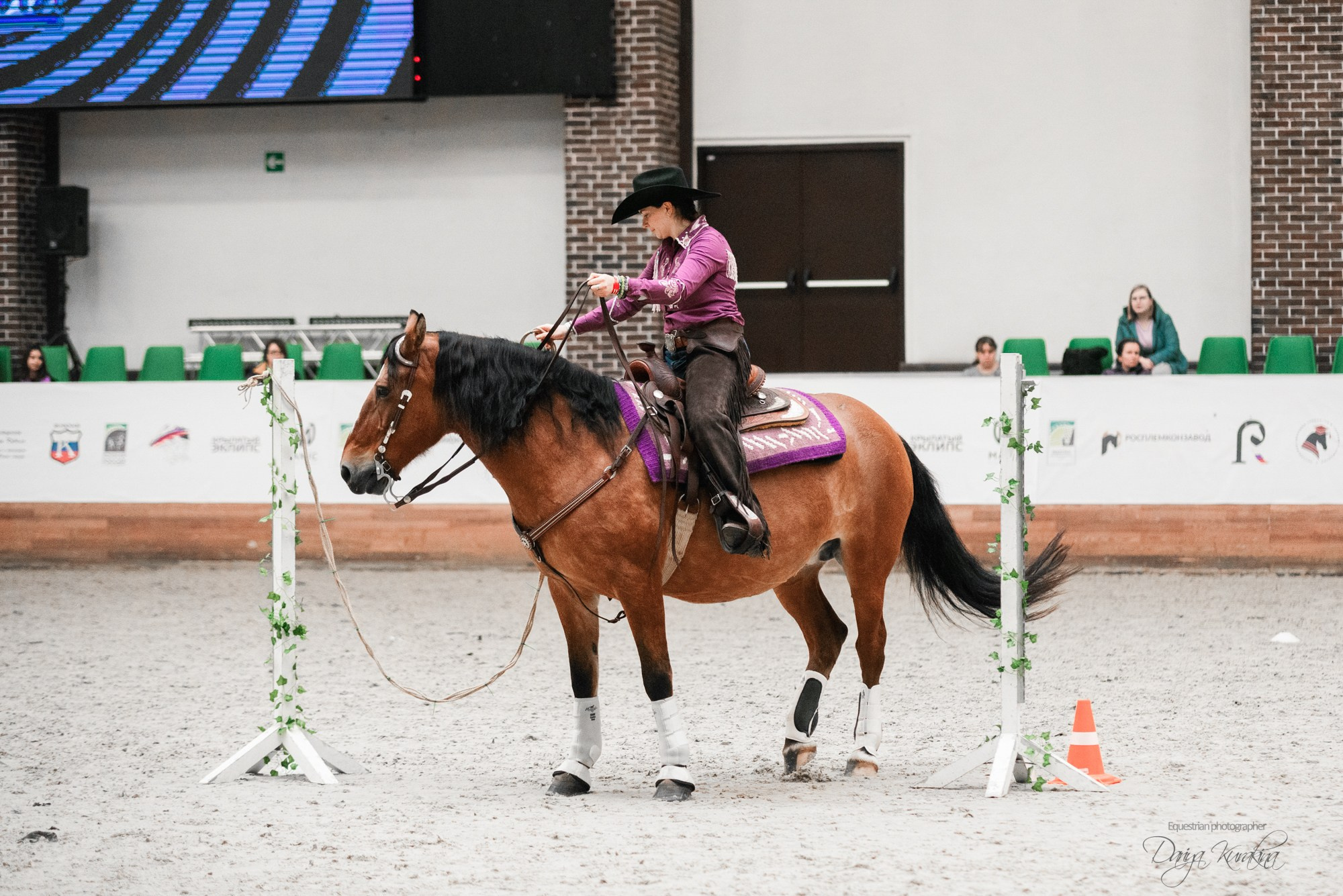 8-я международная выставка Конная Россия. Конный фотограф Куракина Дарья • Фотосессии с лошадьми