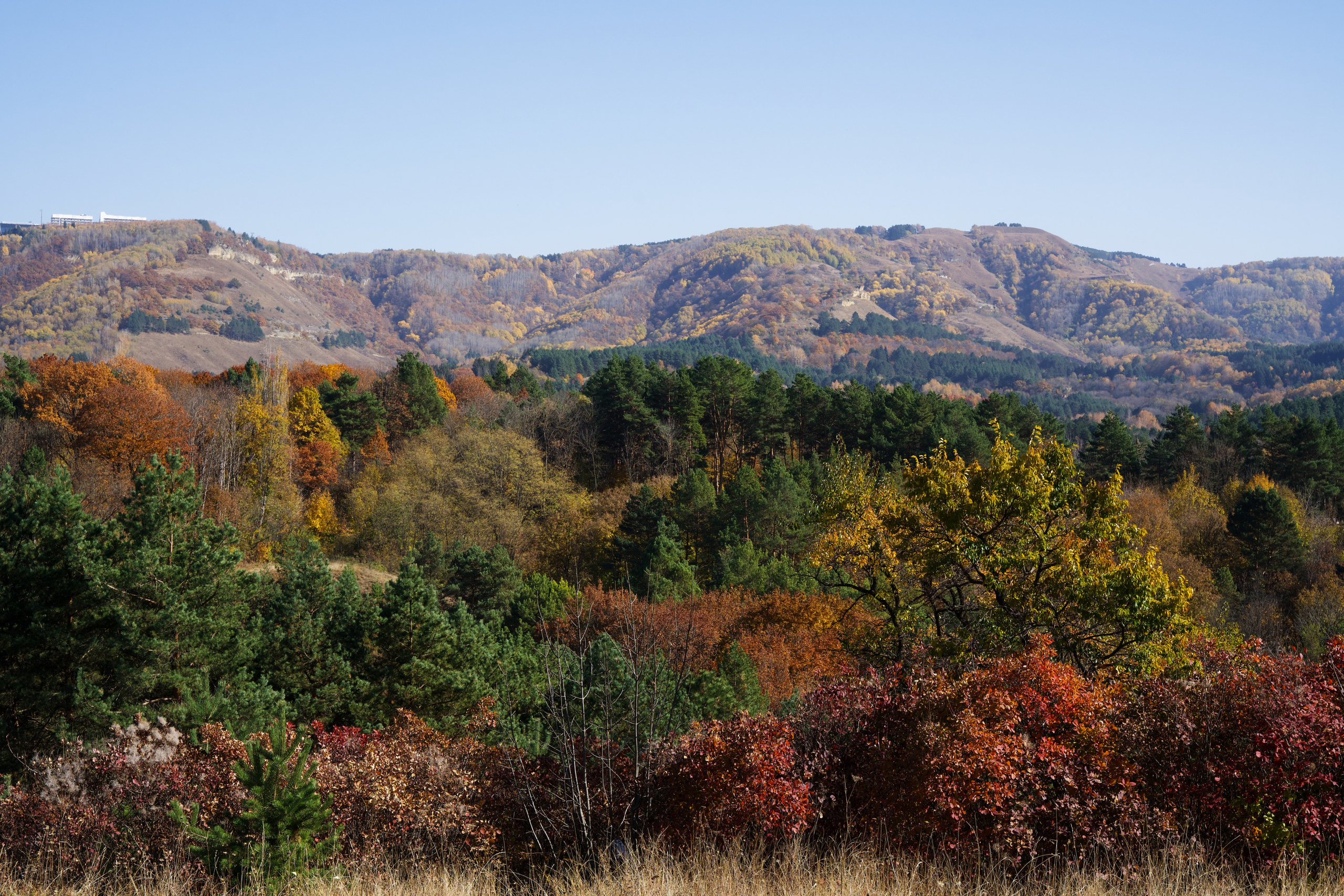 ПЕЙЗАЖ. Фотограф Николай Костюк