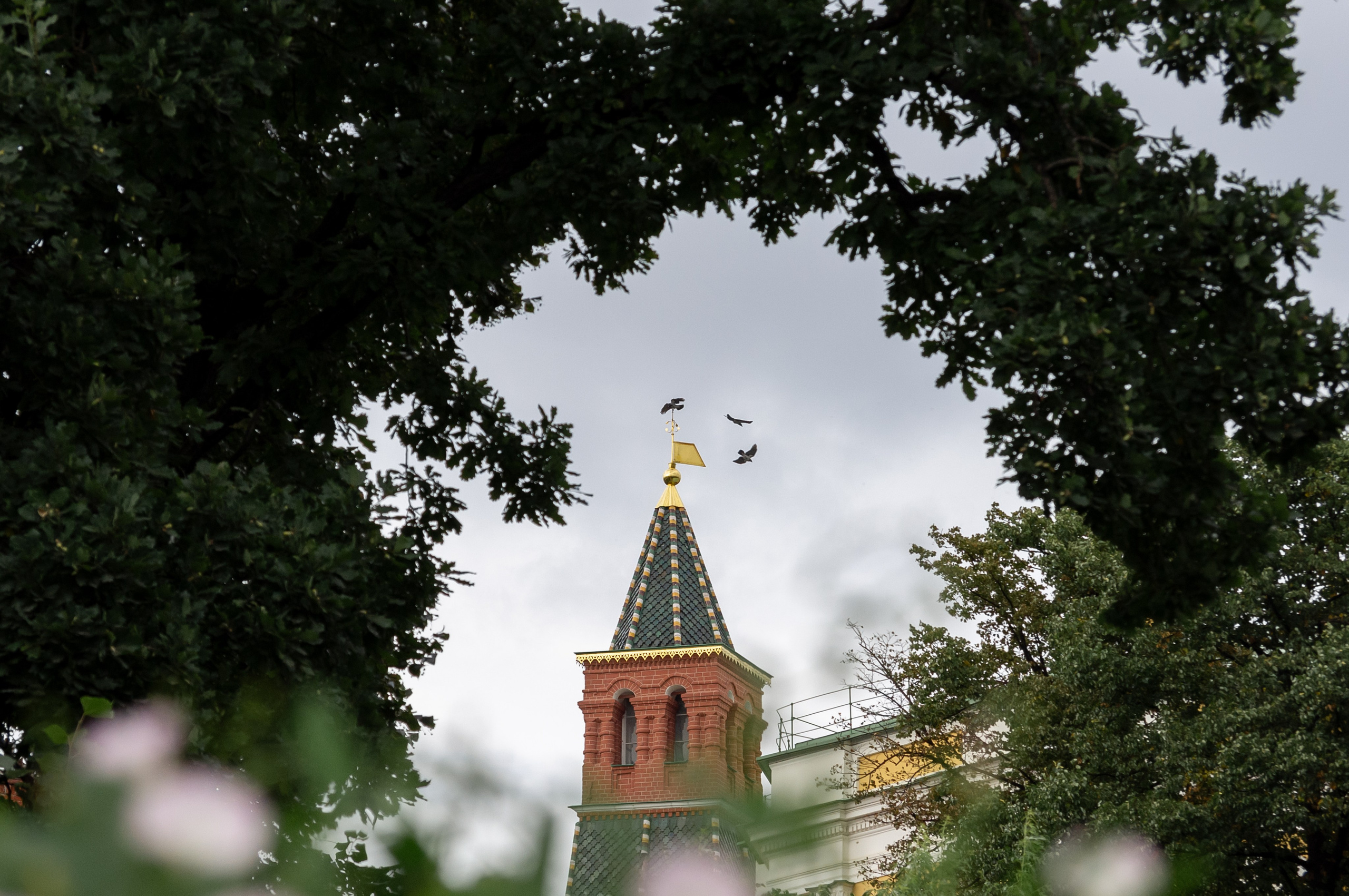 20200824 Вокруг Кремля с братом. Дмитрий Ремизов. Фотография, как хобби