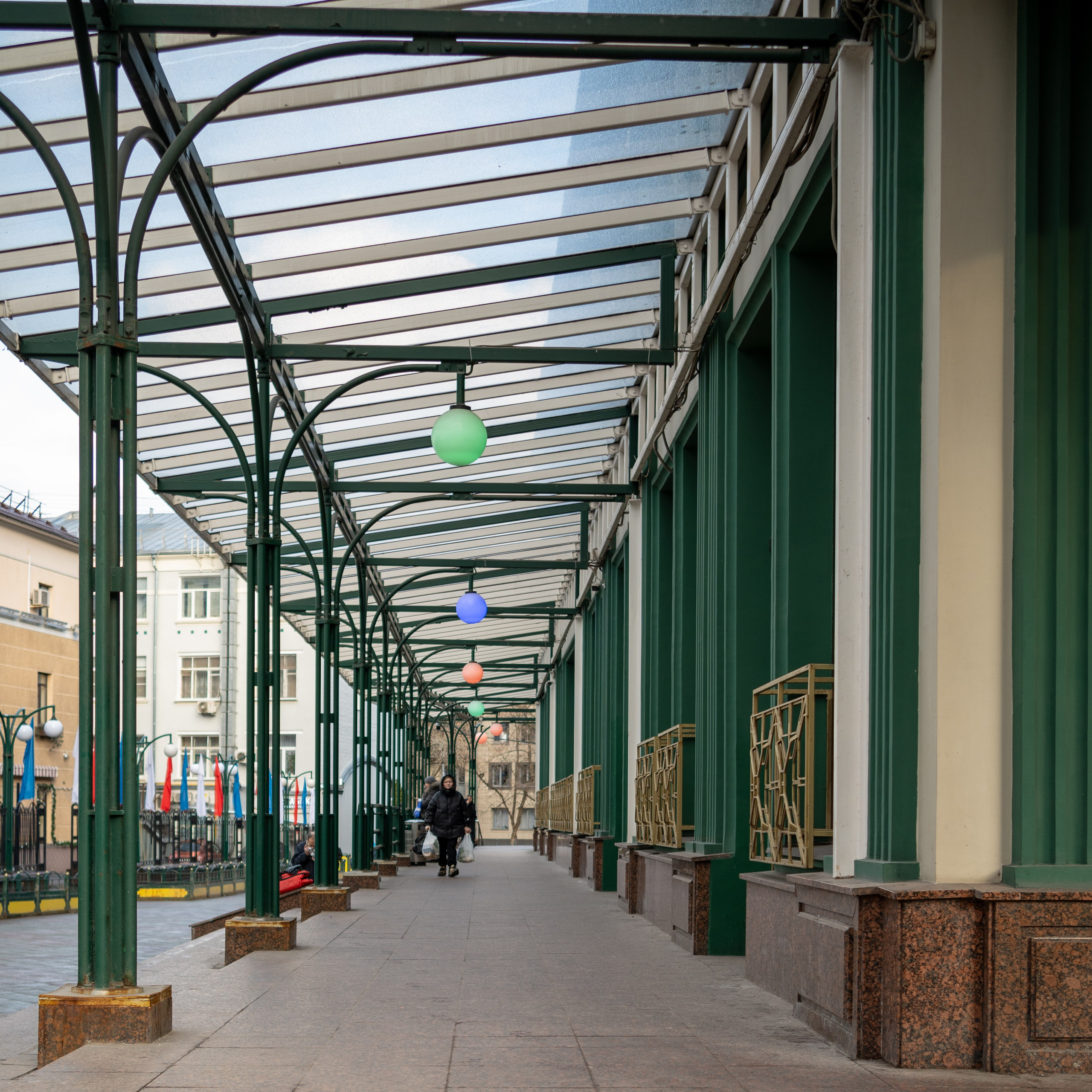 20250202 Белорусская-Охотный ряд. Дмитрий Ремизов. Фотография, как хобби