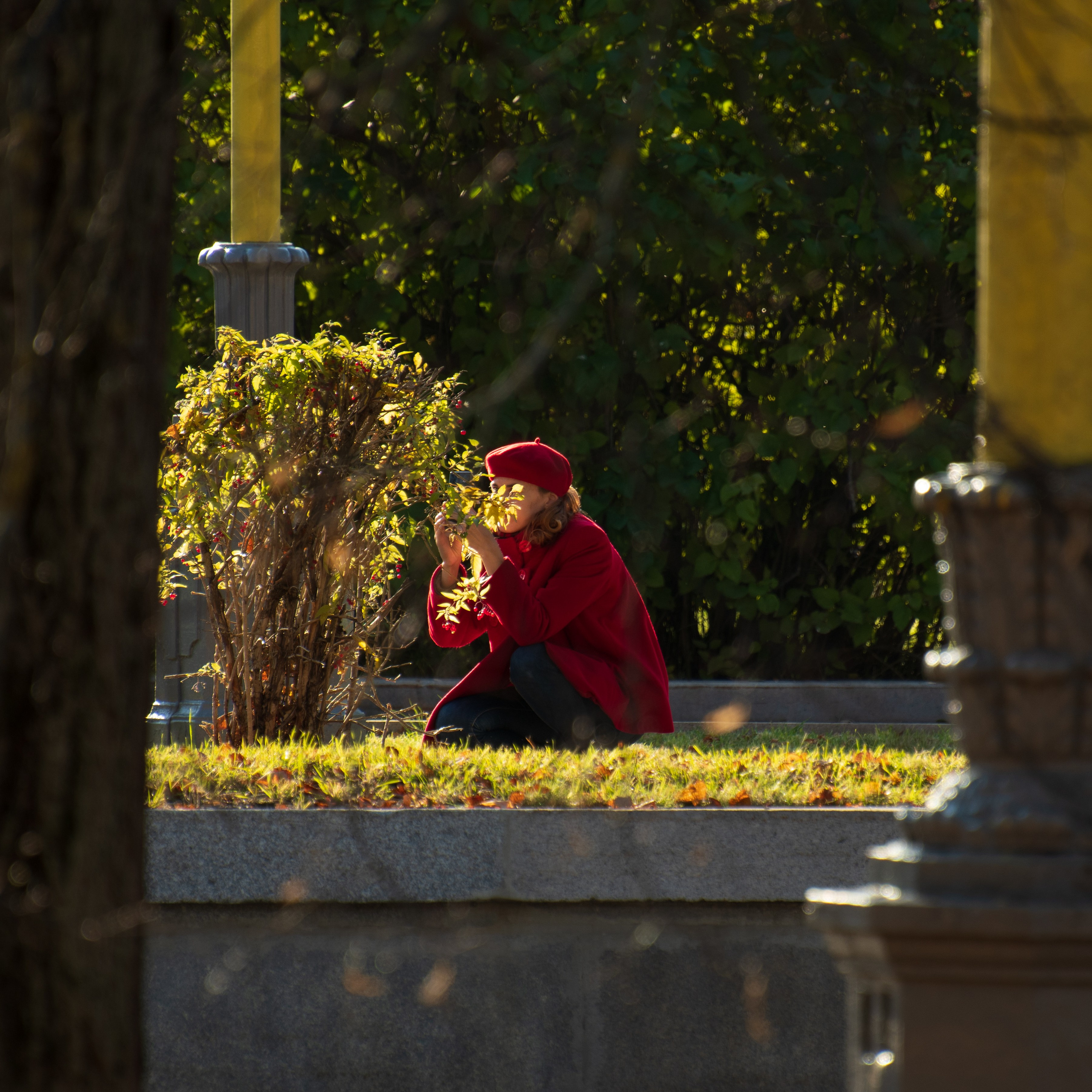 20211010 МГУ. Дмитрий Ремизов. Фотография, как хобби