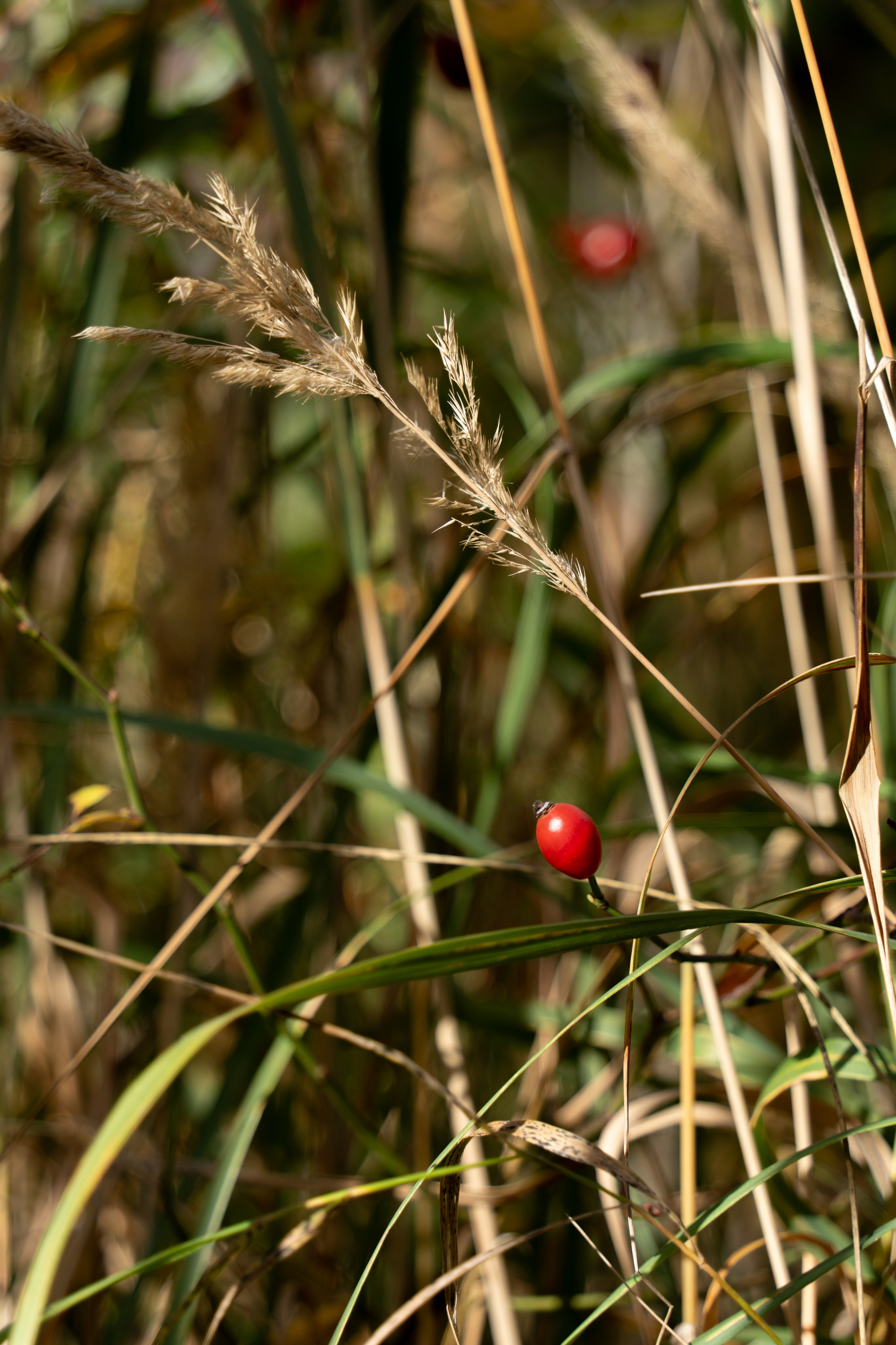 20251012 МГУ. Дмитрий Ремизов. Фотография, как хобби