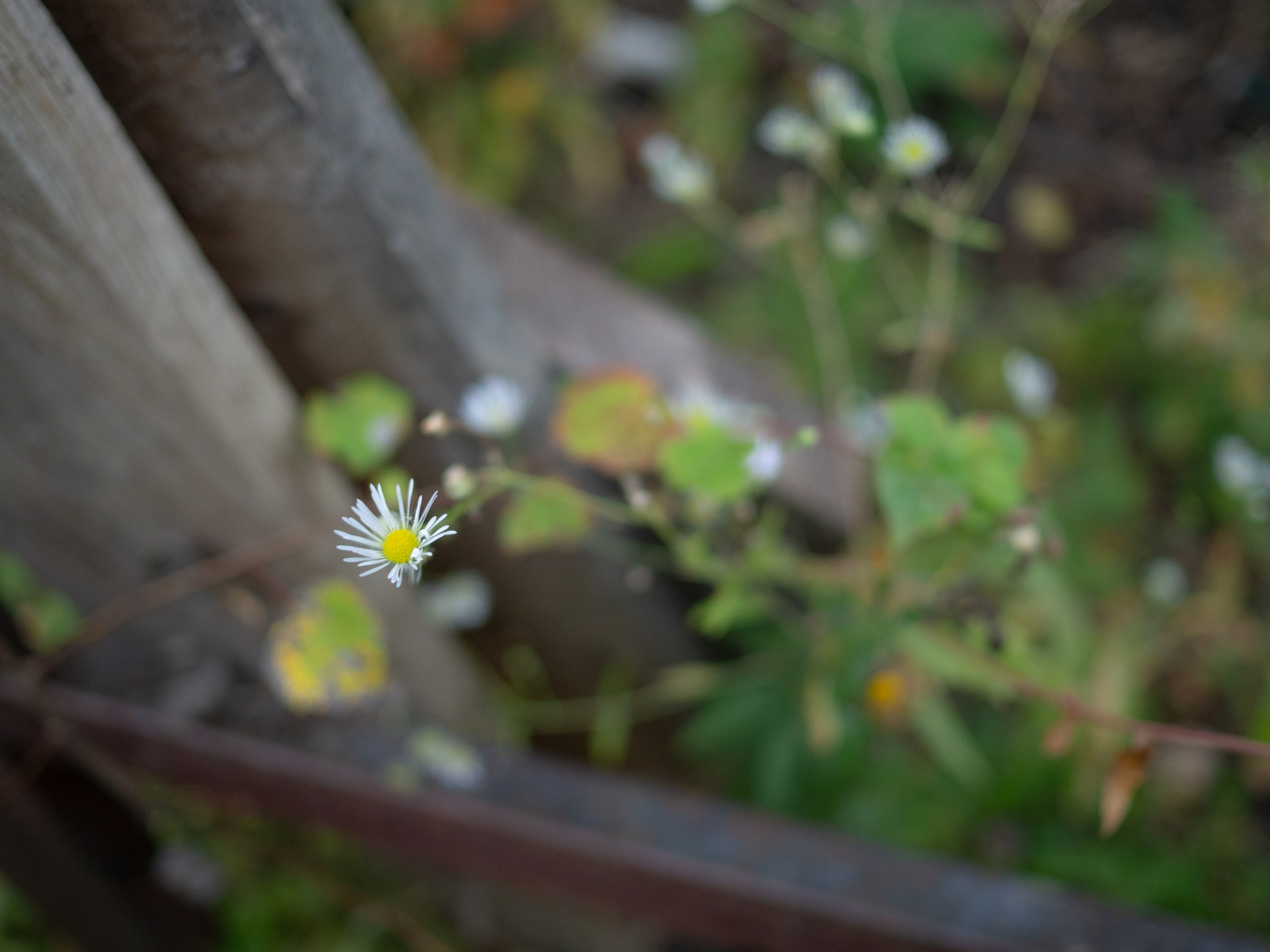 20230923-25 Родники. Дмитрий Ремизов. Фотография, как хобби