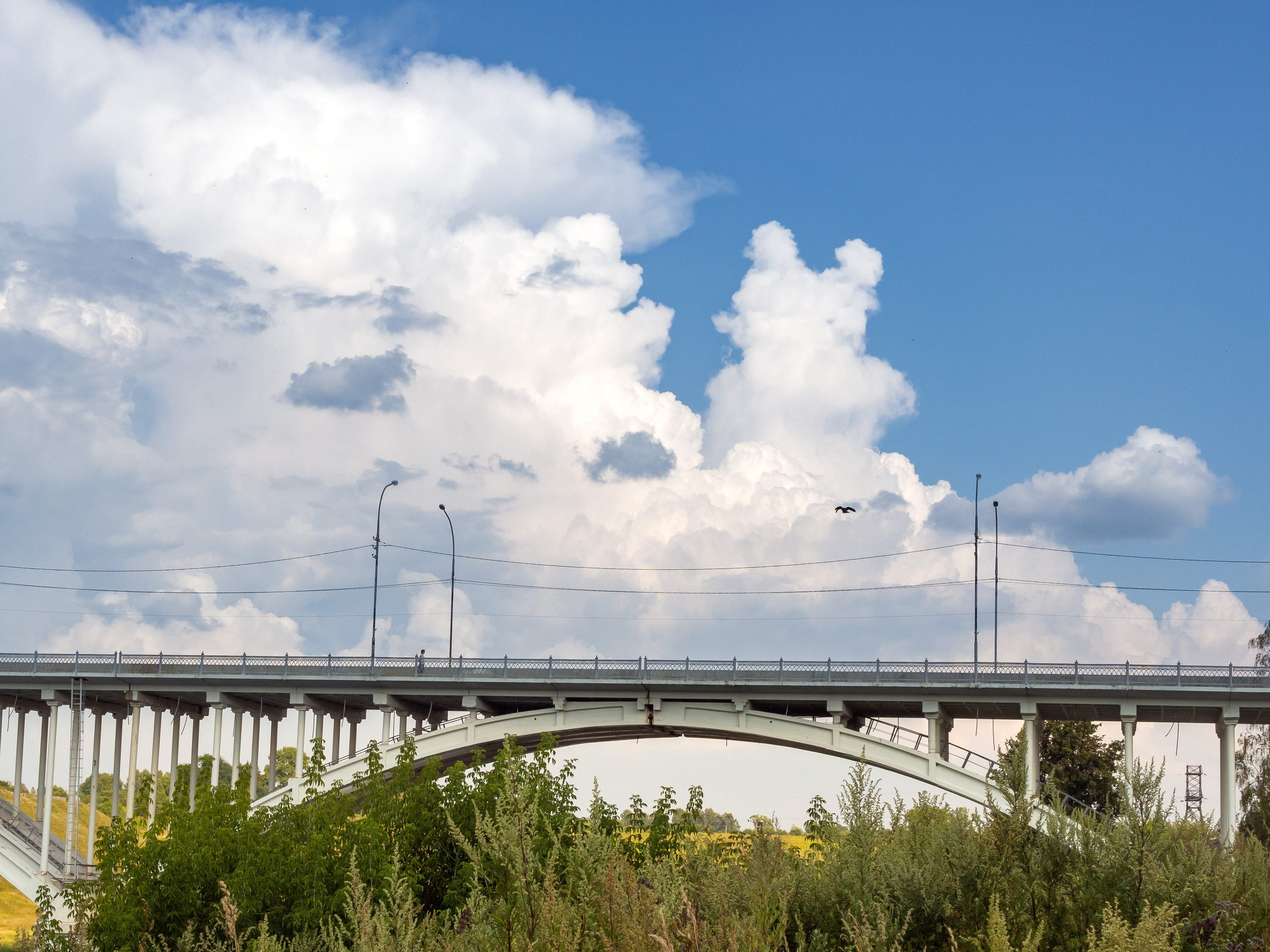 20220805 Старица и Тверь. Дмитрий Ремизов. Фотография, как хобби