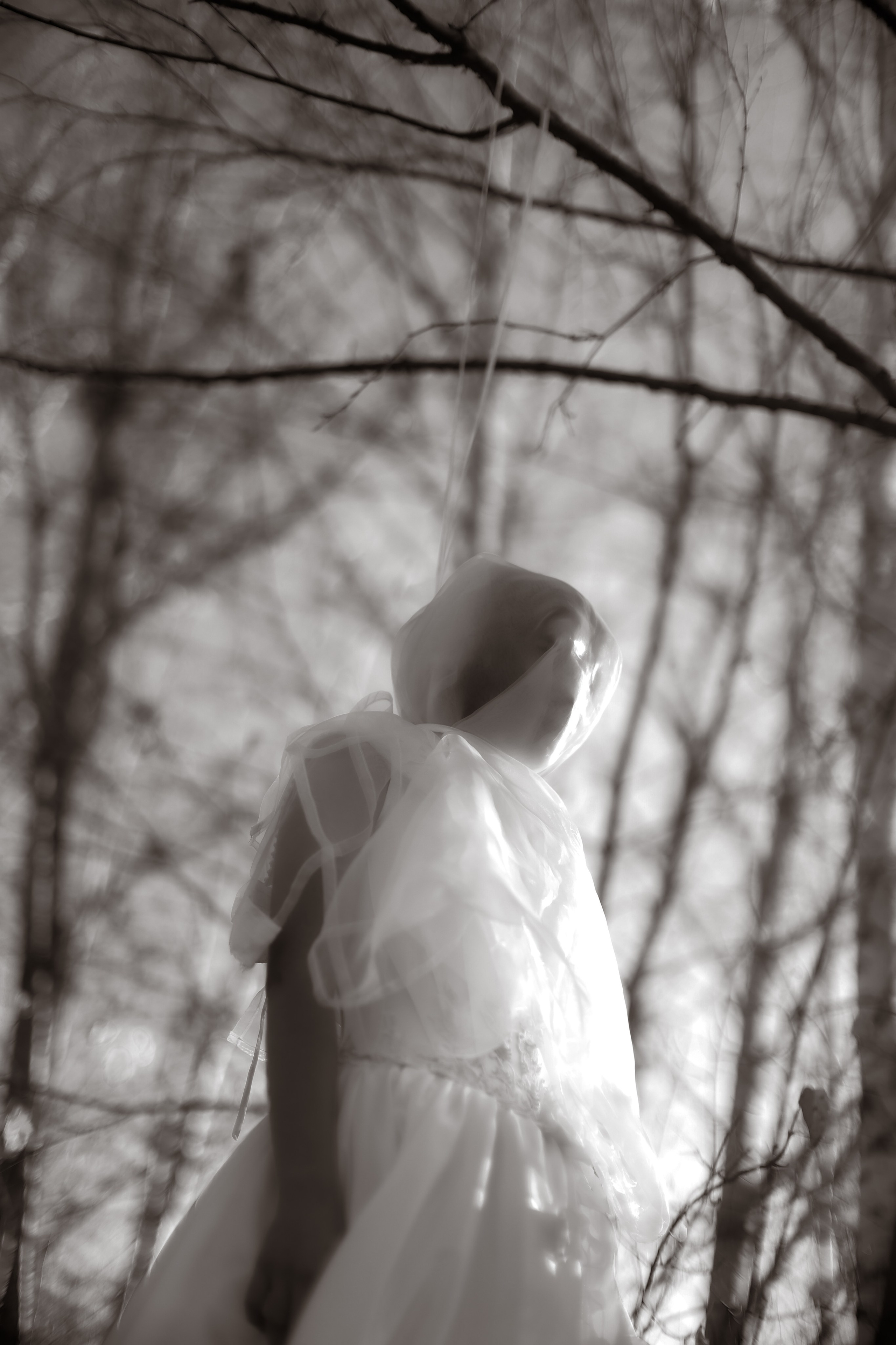 В ожидании Halloween. Art my Pho