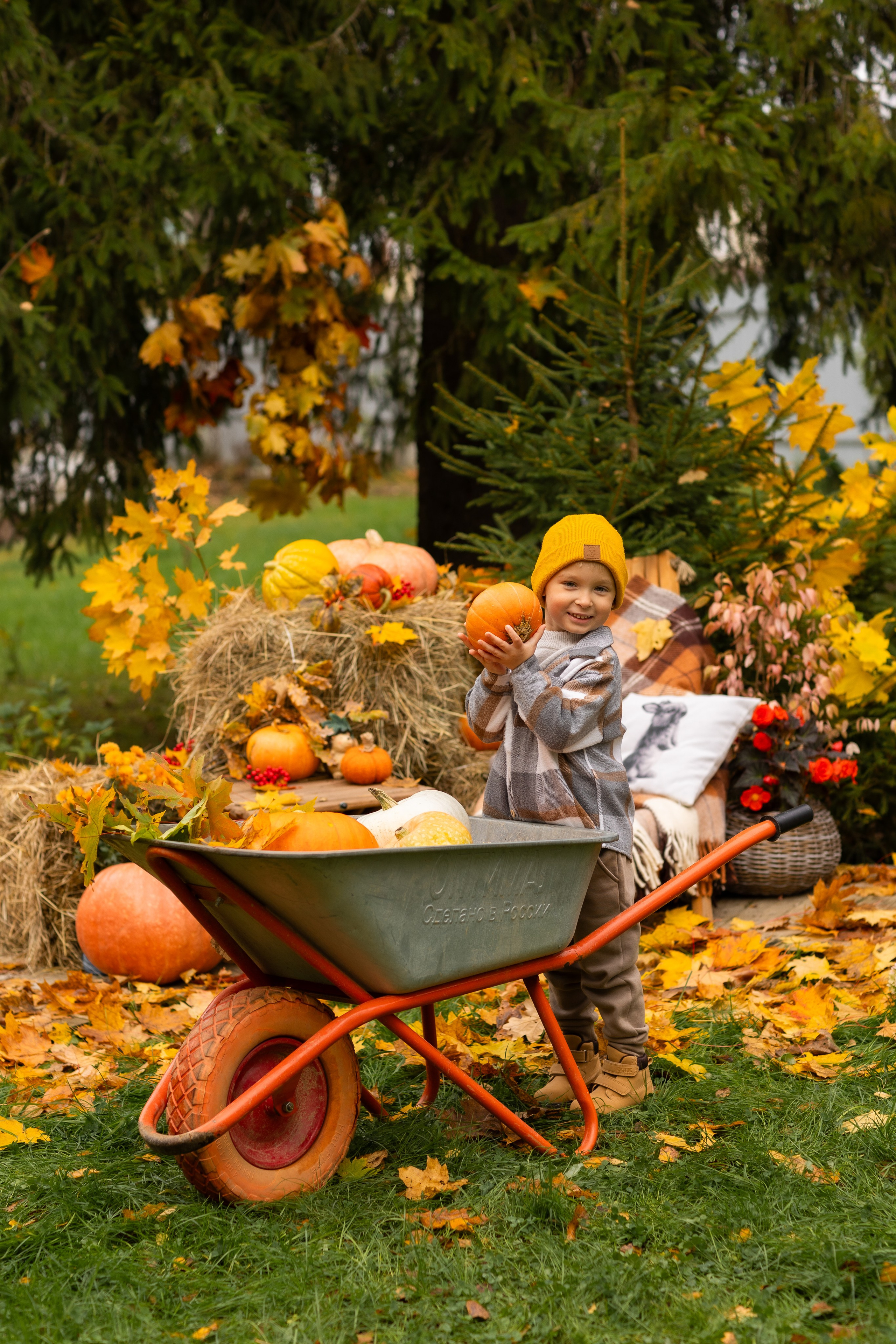 Осень. Профессиональный ретушер Москва и весь мир — Елена Тимченко