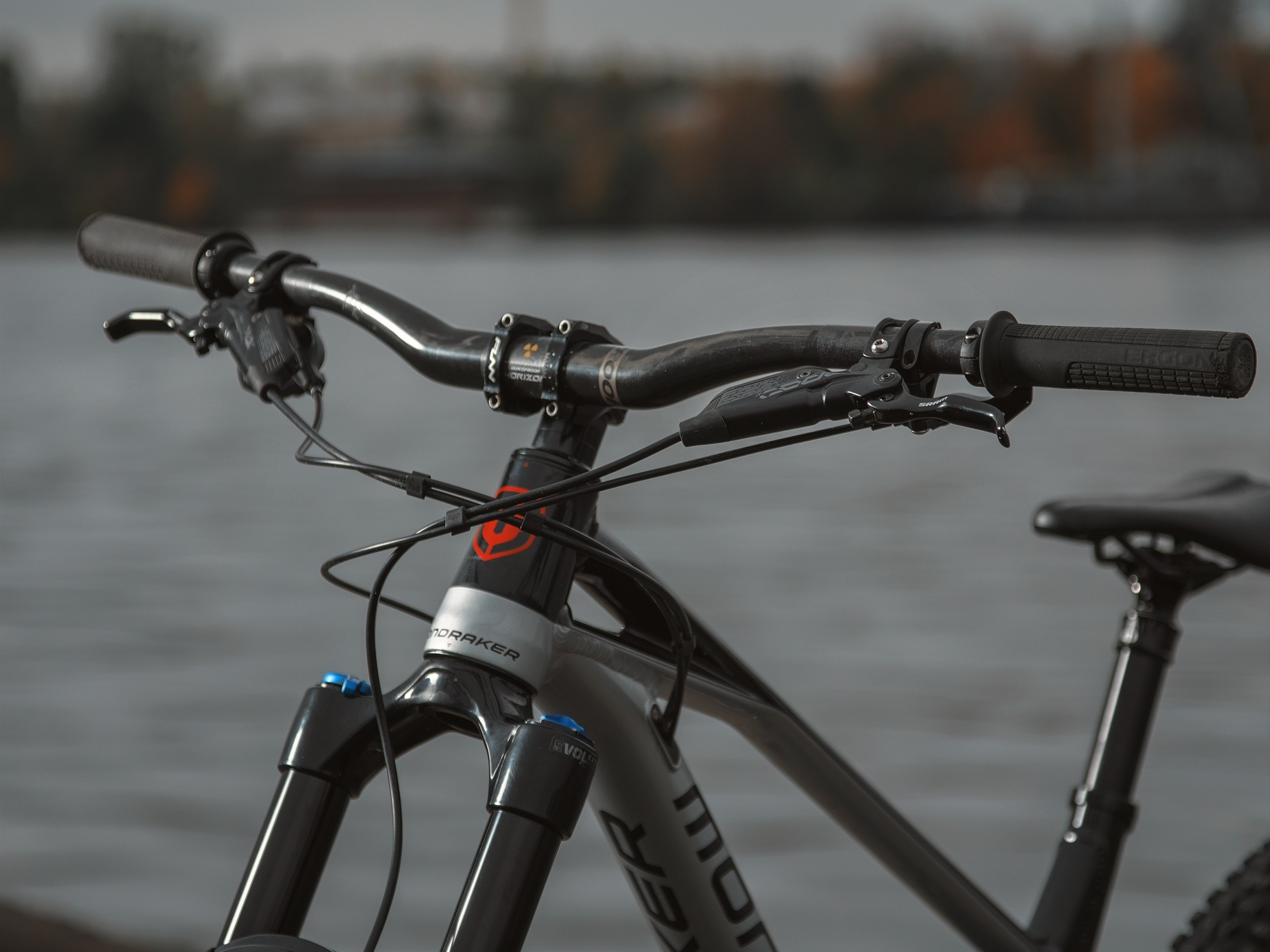 Mondraker. Фотограф анималист Никита Натальный