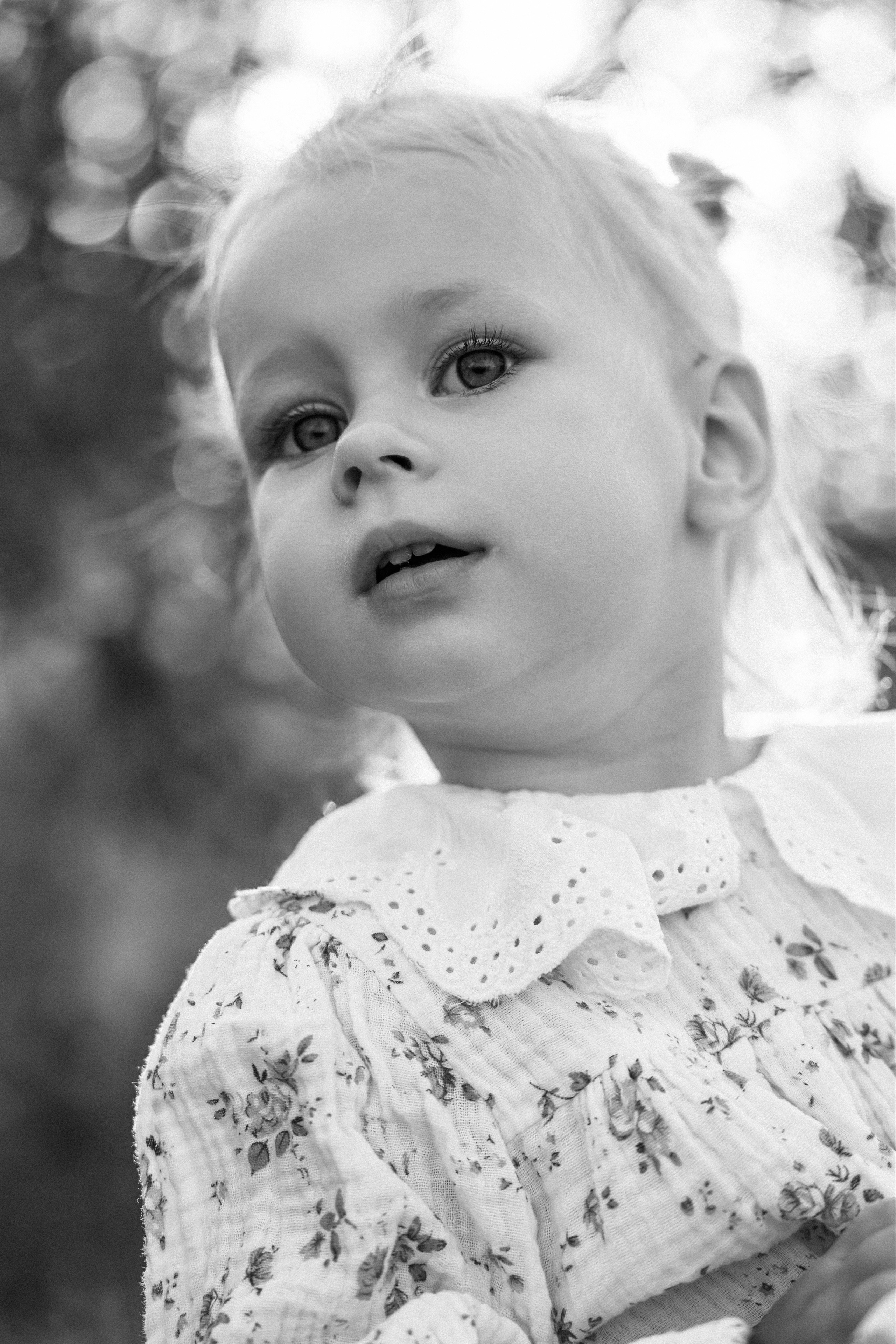 Кедровские. О фотографии с душой