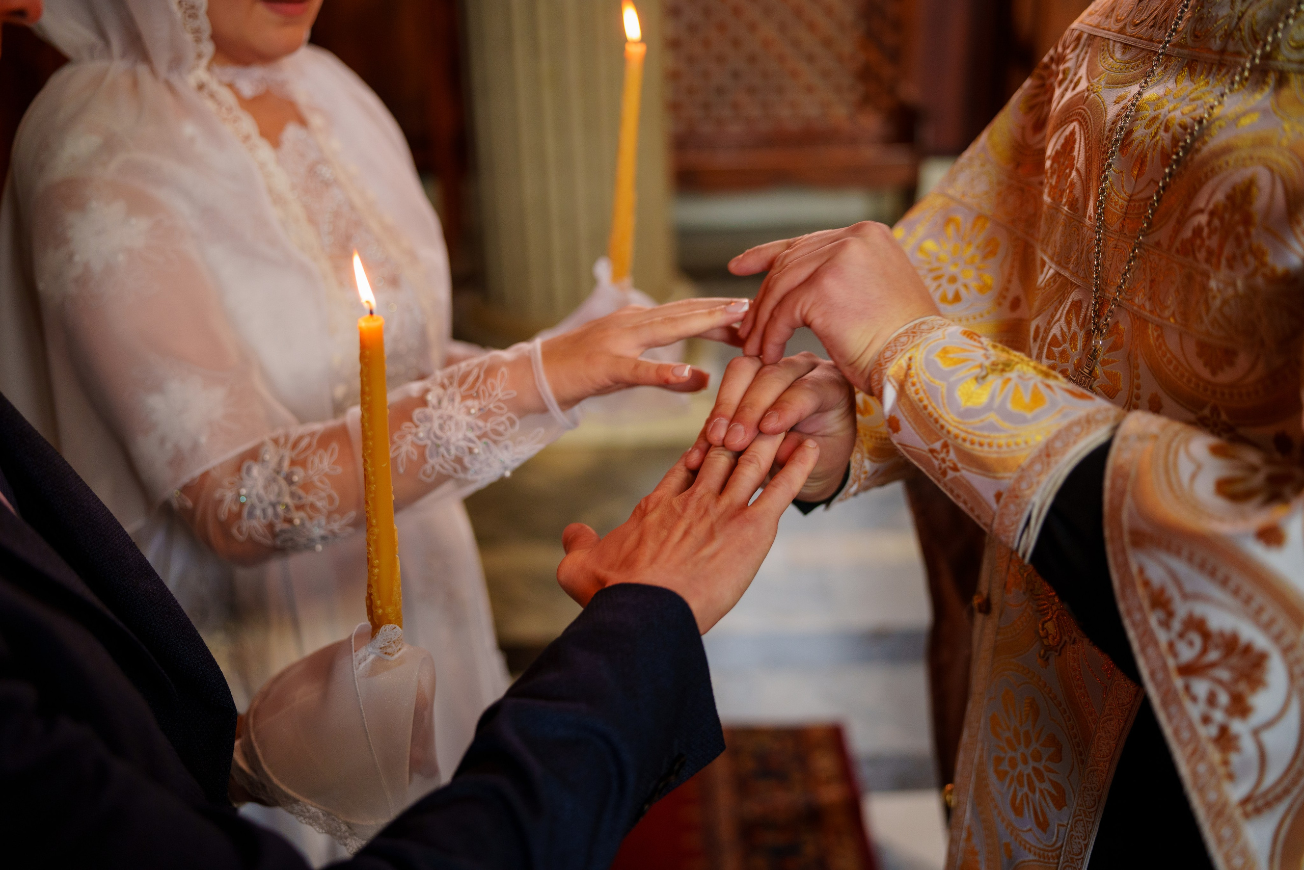 24.09.2023. Фотограф Андрей Чеботок (Белгород, Курск, Воронеж, Старый Оскол)