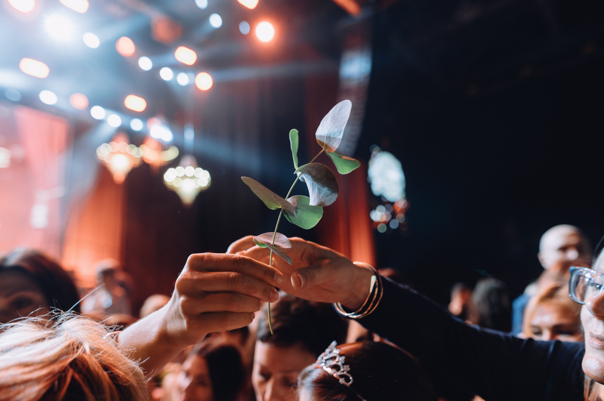 Репортаж с мероприятия NSP. Профессиональный фотограф Алексей Васенцев. Минск, СПБ, Москва