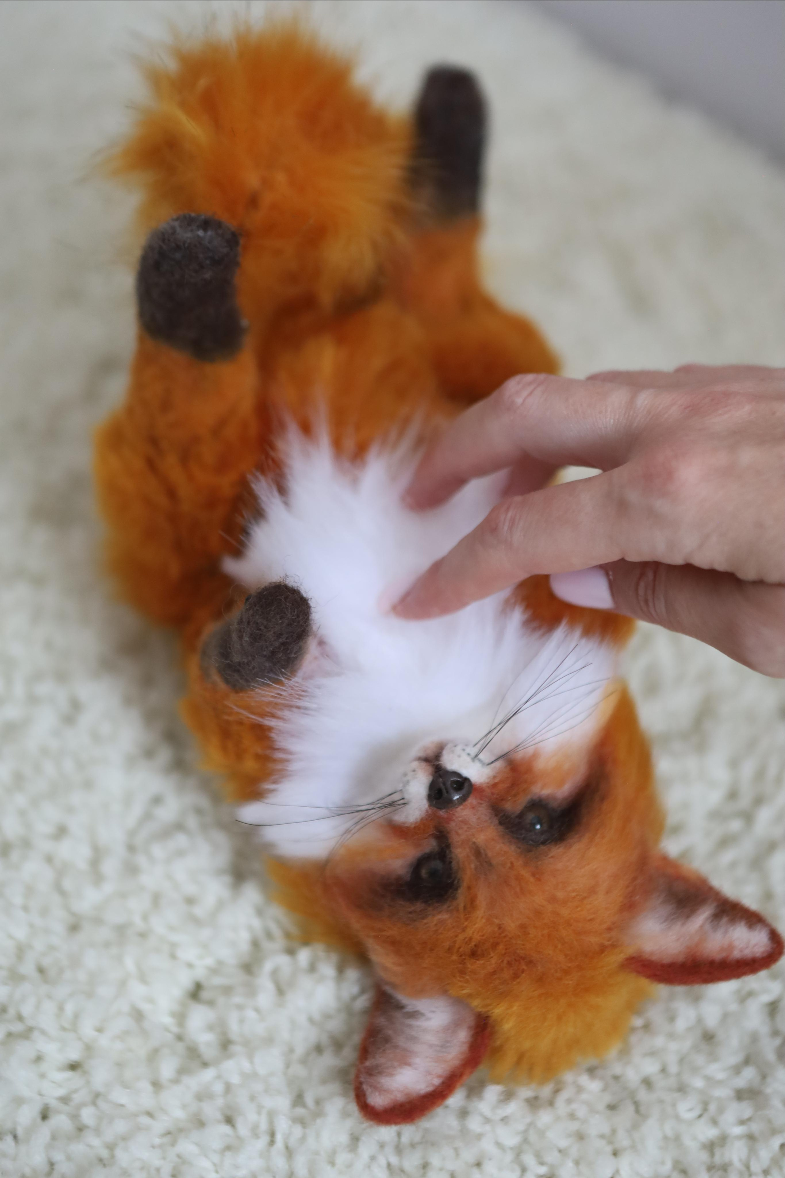 Контент-съемка. AI-контент (генерации ИИ-фото и видео), стоковые фотографии Калининградской области