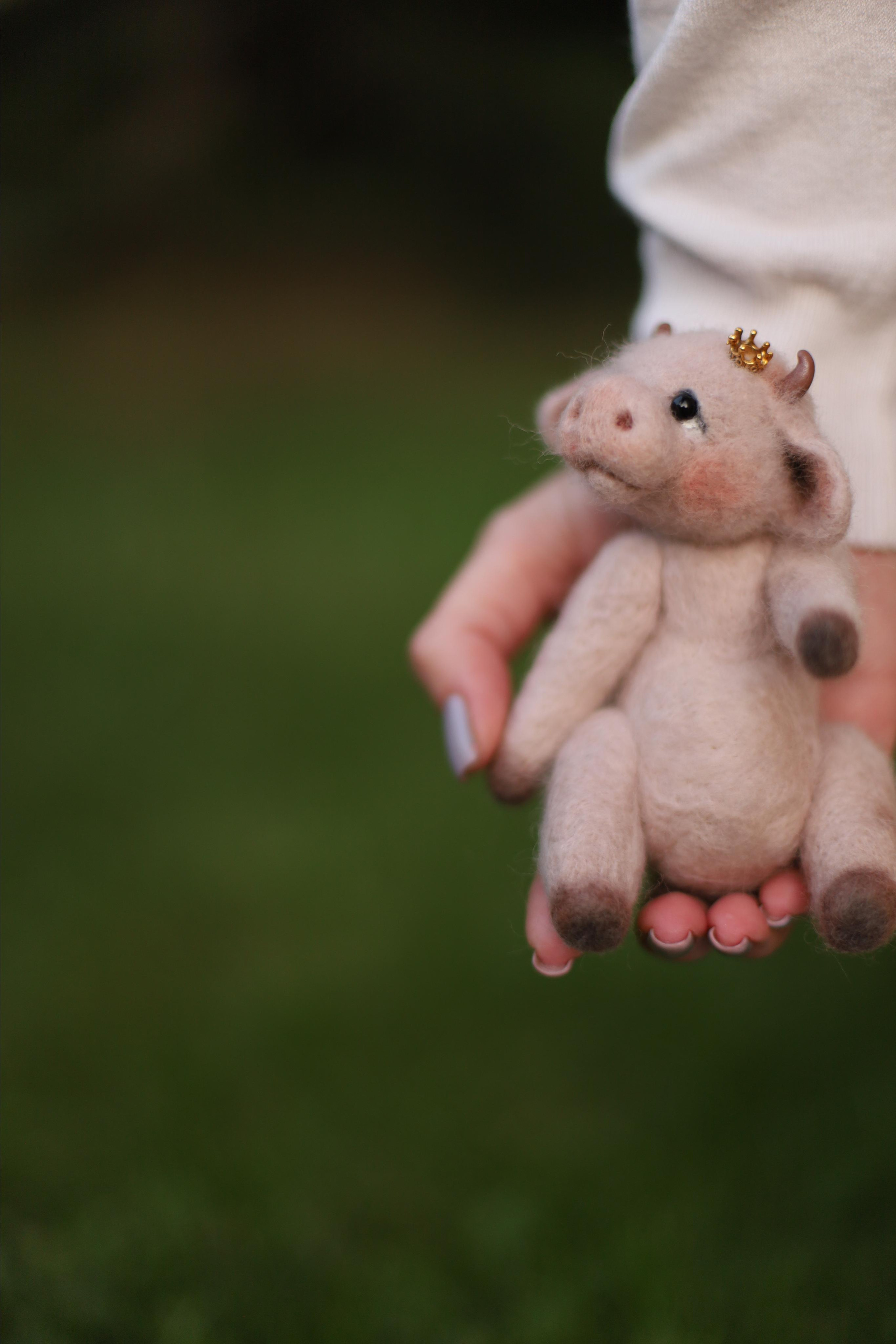 Контент-съемка. AI-контент (генерации ИИ-фото и видео), стоковые фотографии Калининградской области