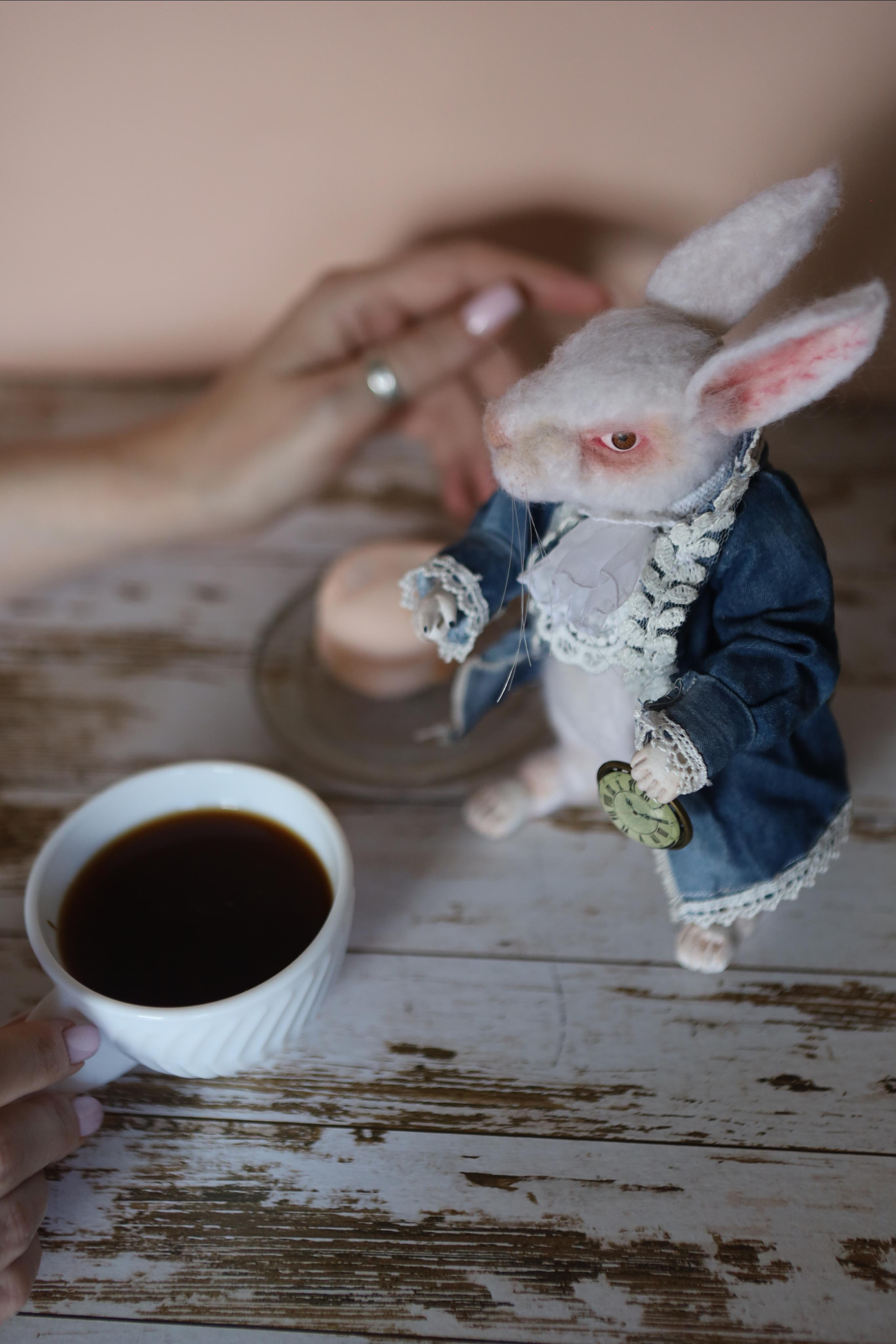 Контент-съемка. AI-контент (генерации ИИ-фото и видео), стоковые фотографии Калининградской области