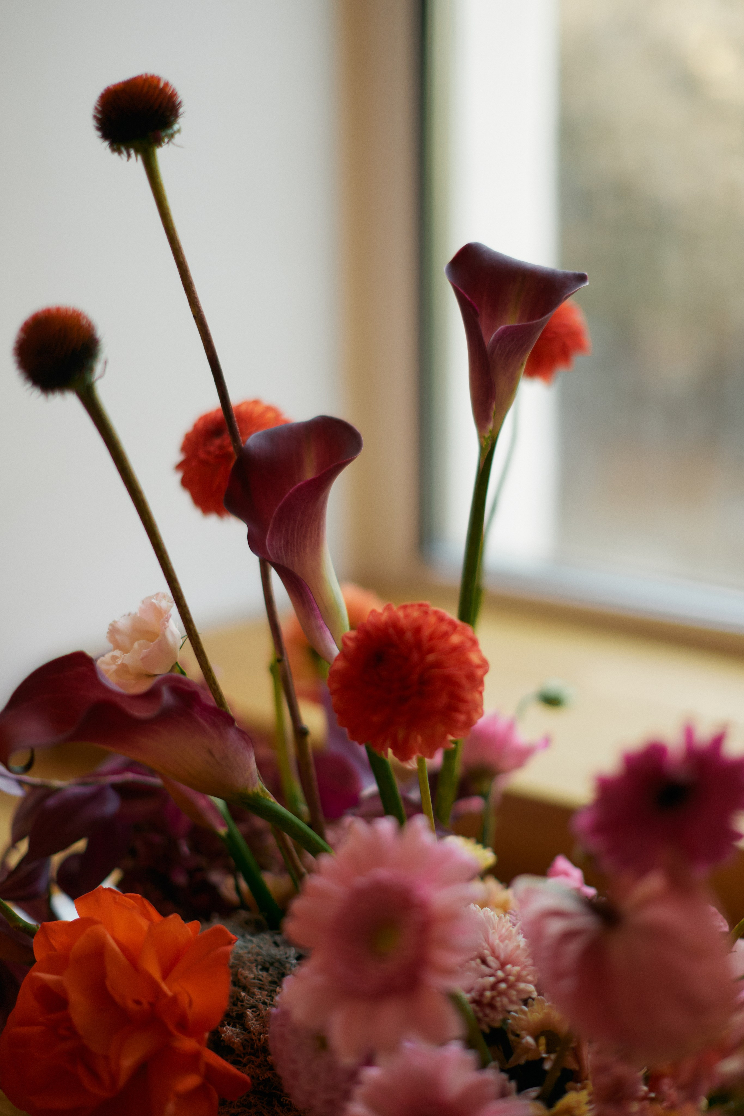 Евгений и Ксения. Свадебный фотограф Москва Татьяна Кундельчук