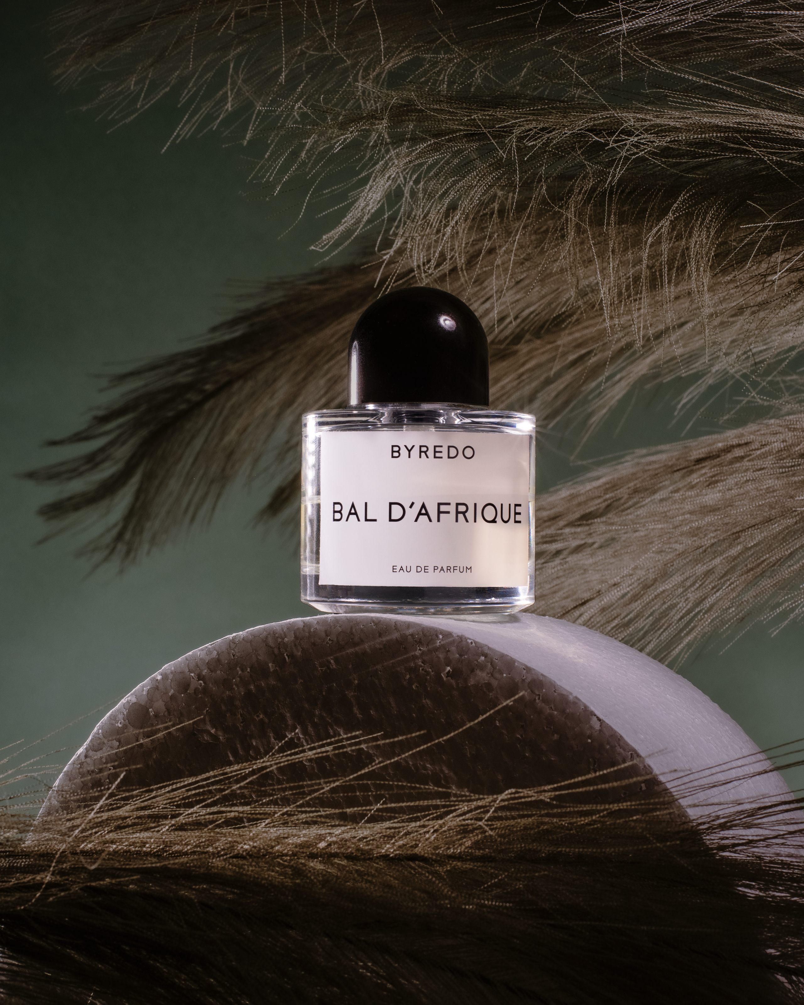 Коммерческий фотограф в Москве Билуши Василиса