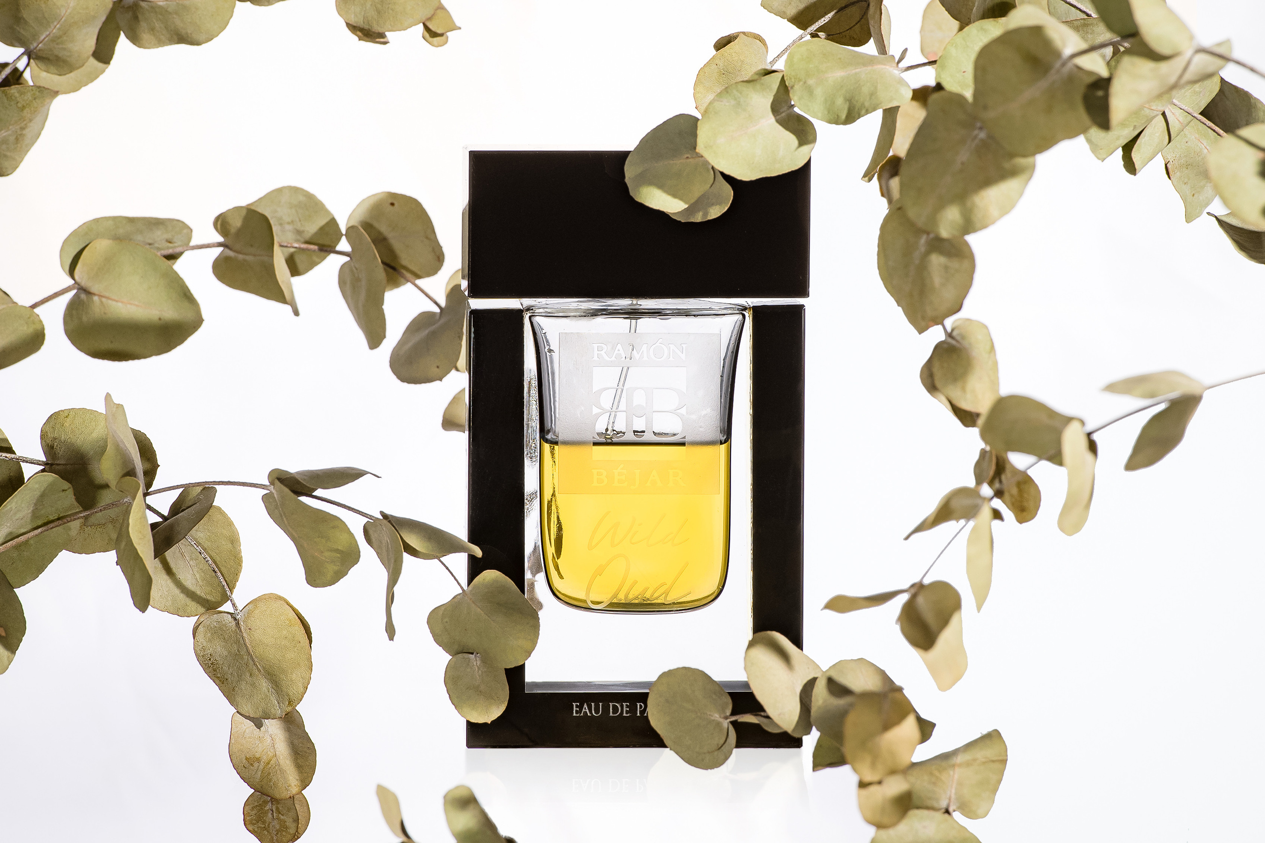 Коммерческий фотограф в Москве Билуши Василиса